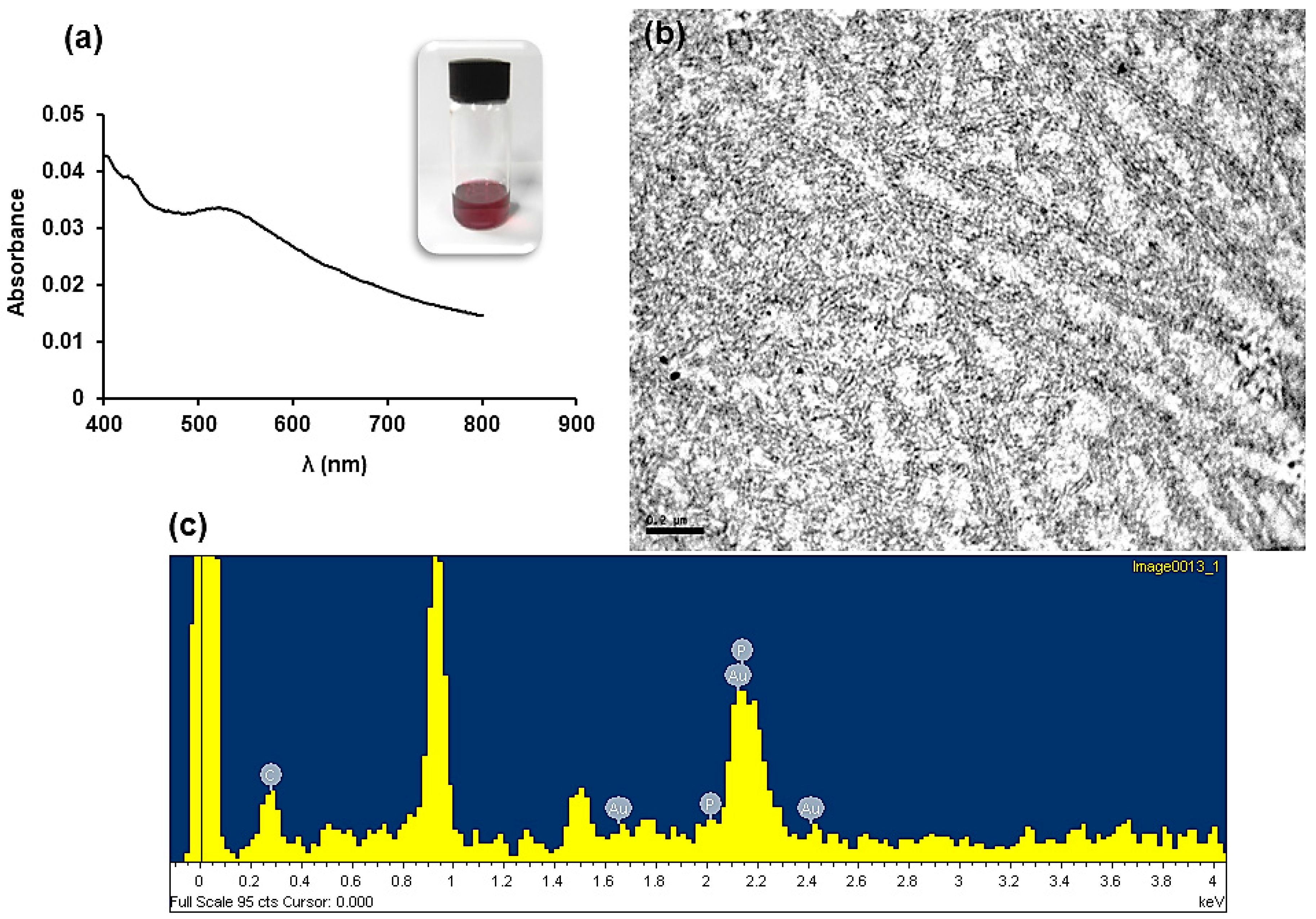 Molecules 24 01772 g007 Molecules 24 01772 g007