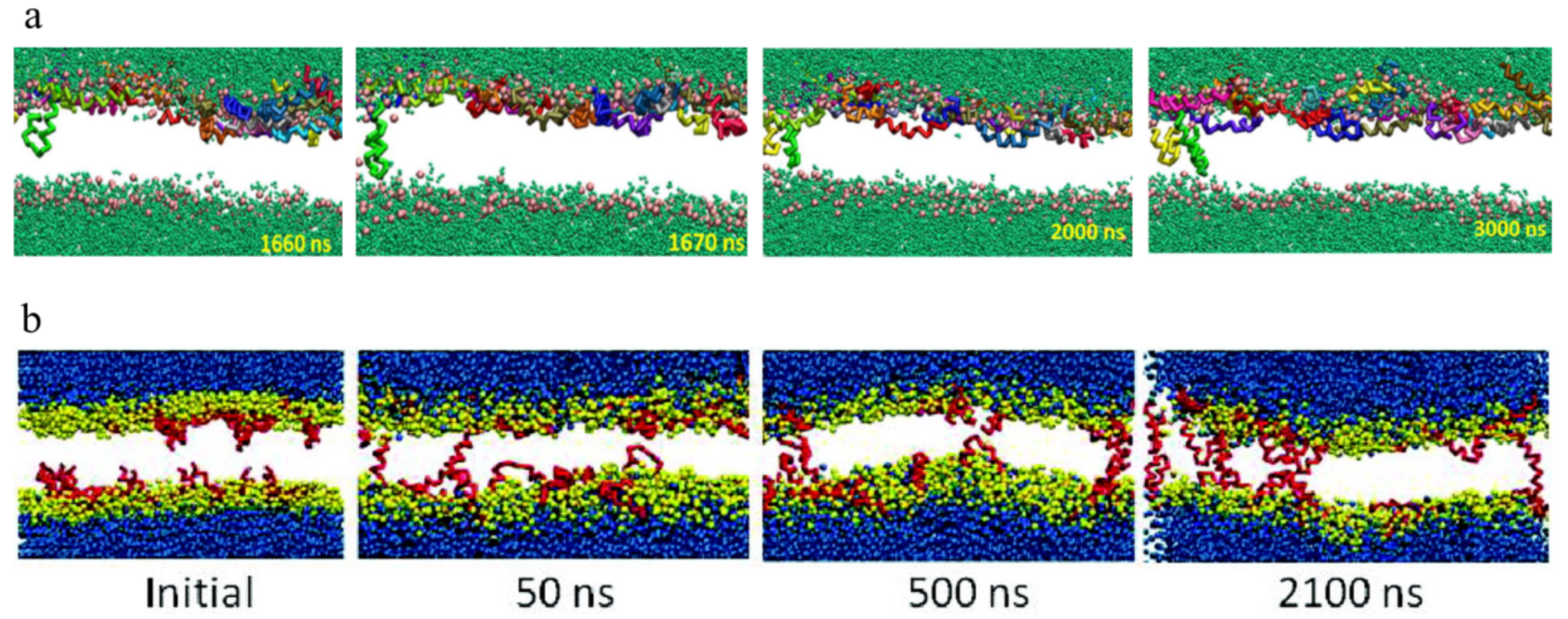 Molecules 24 01775 g002