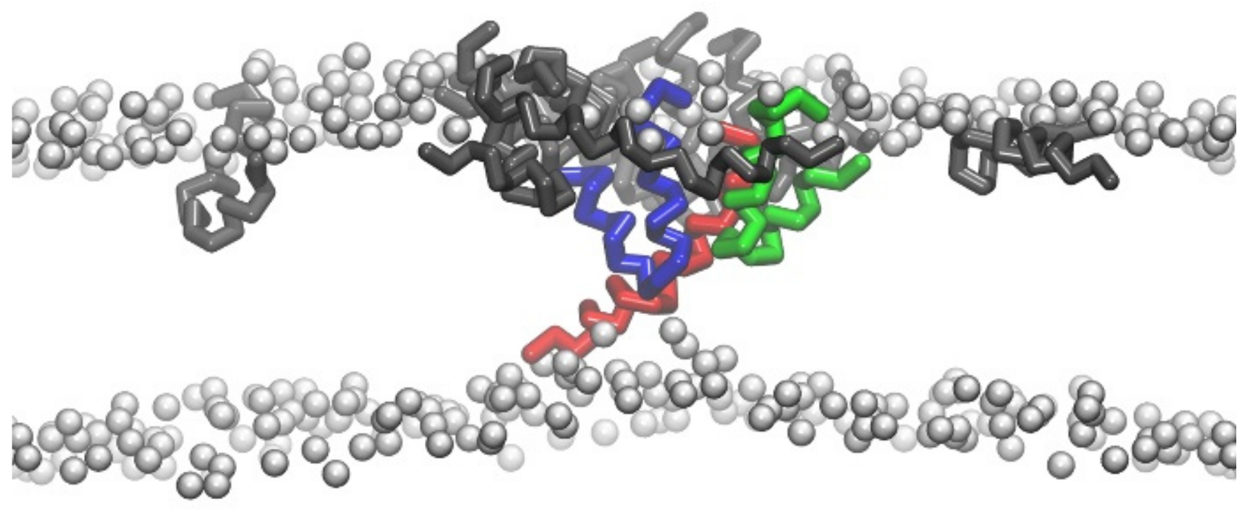 Molecules 24 01775 g003