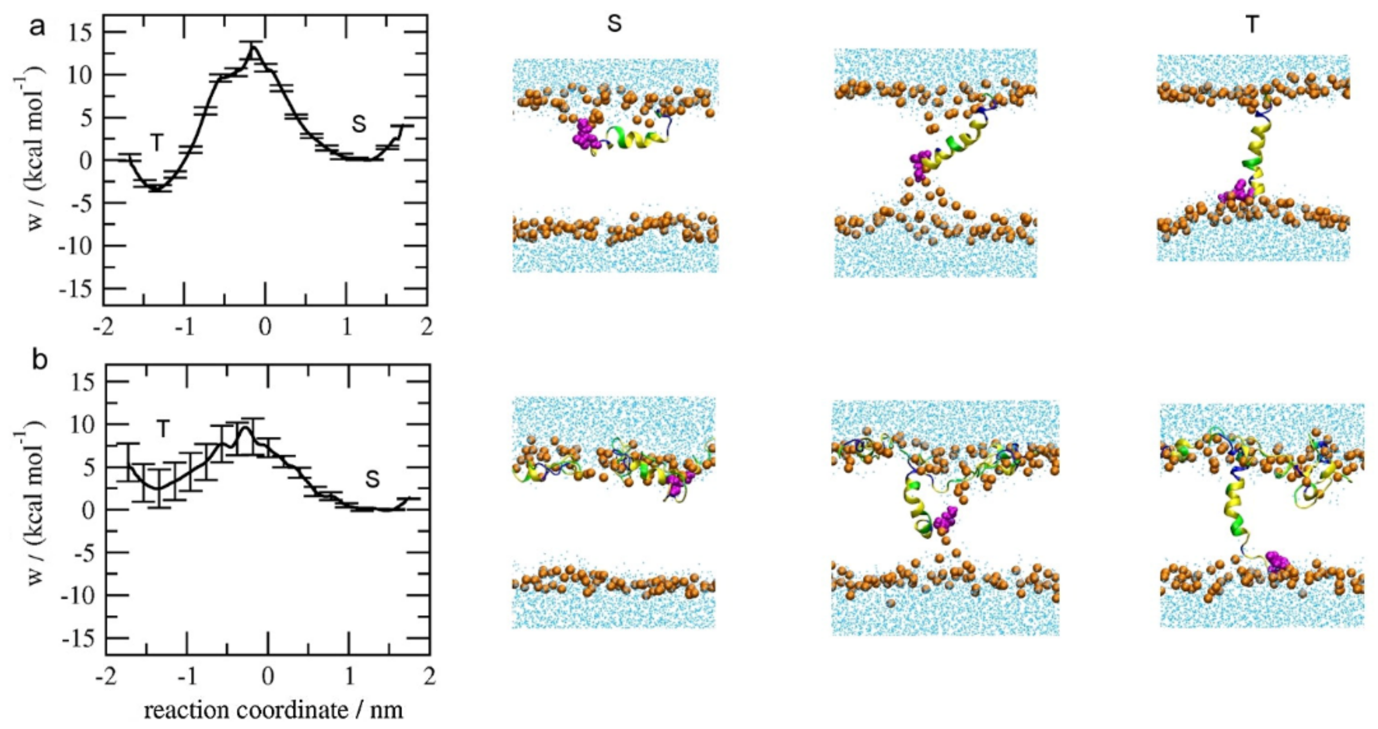 Molecules 24 01775 g005