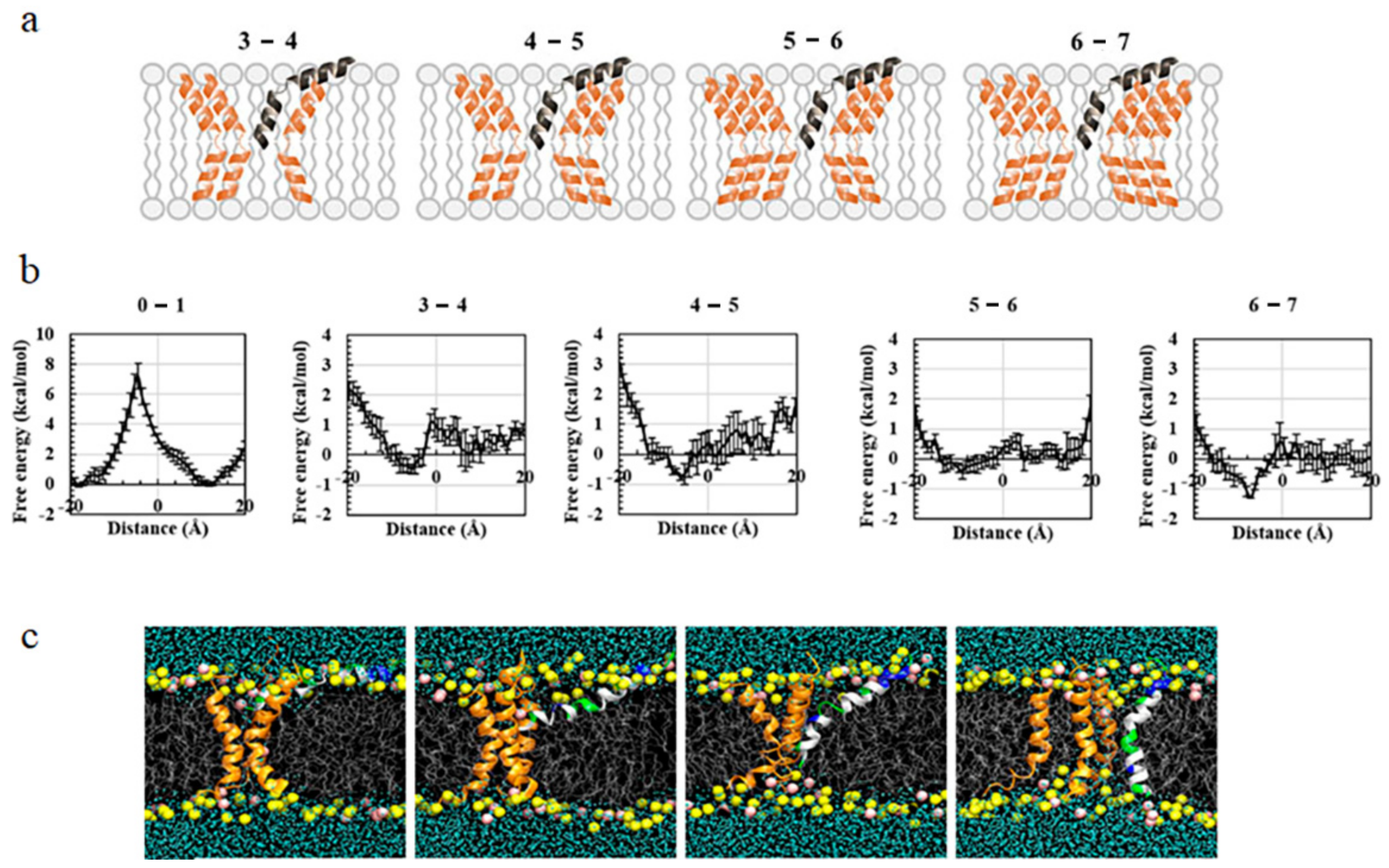 Molecules 24 01775 g006