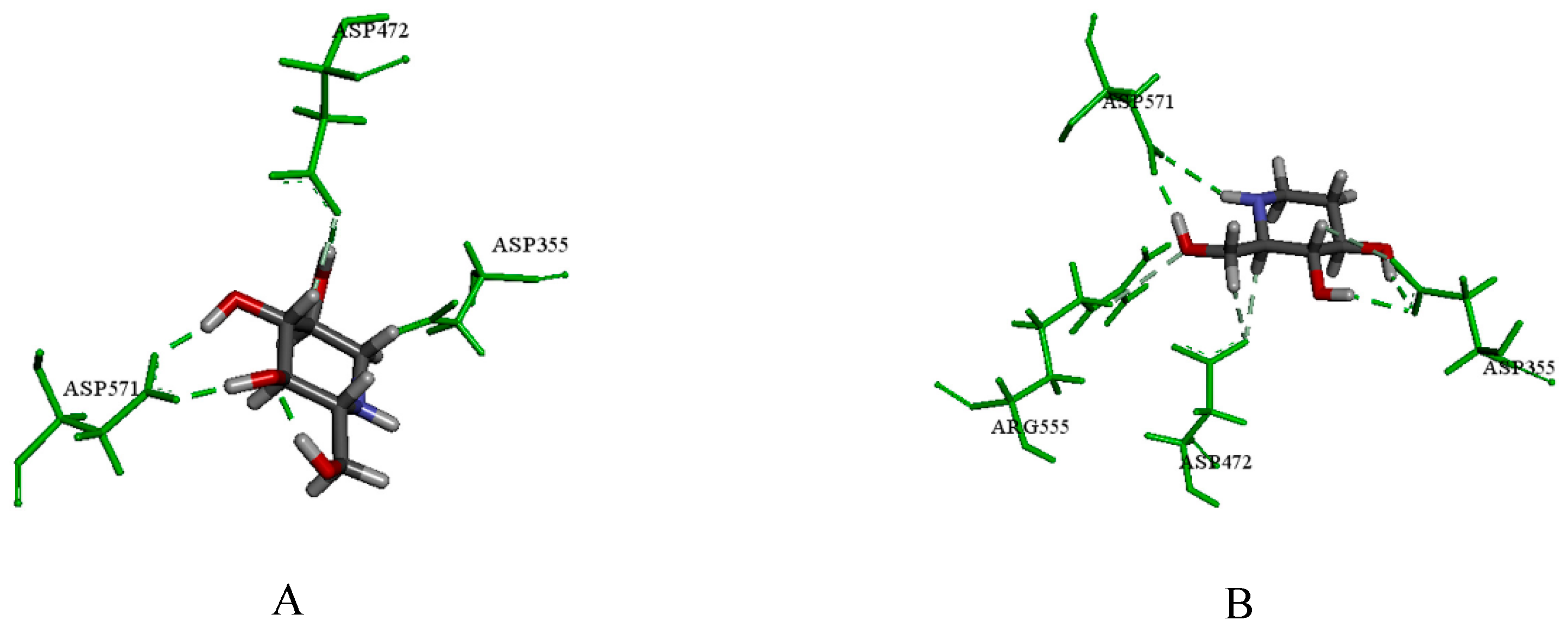 Molecules 24 01776 g006a