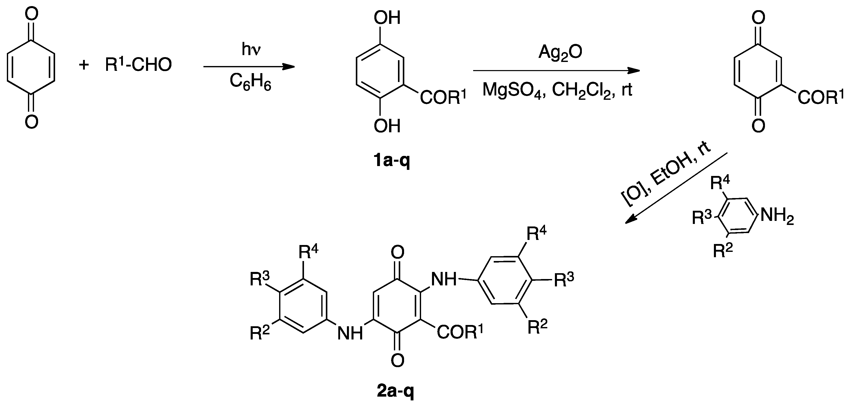 Molecules 24 01780 sch001 Molecules 24 01780 sch001
