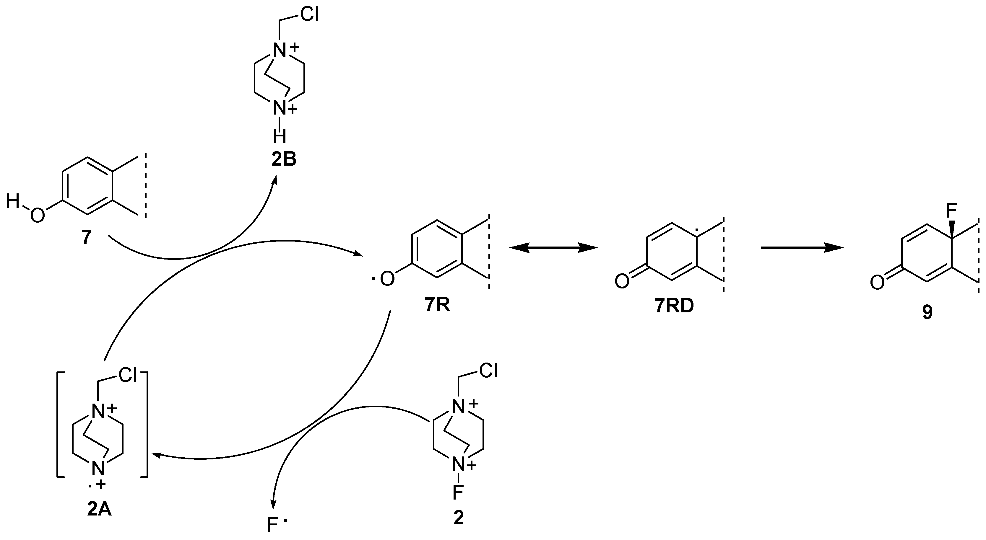 Molecules 24 01783 sch005