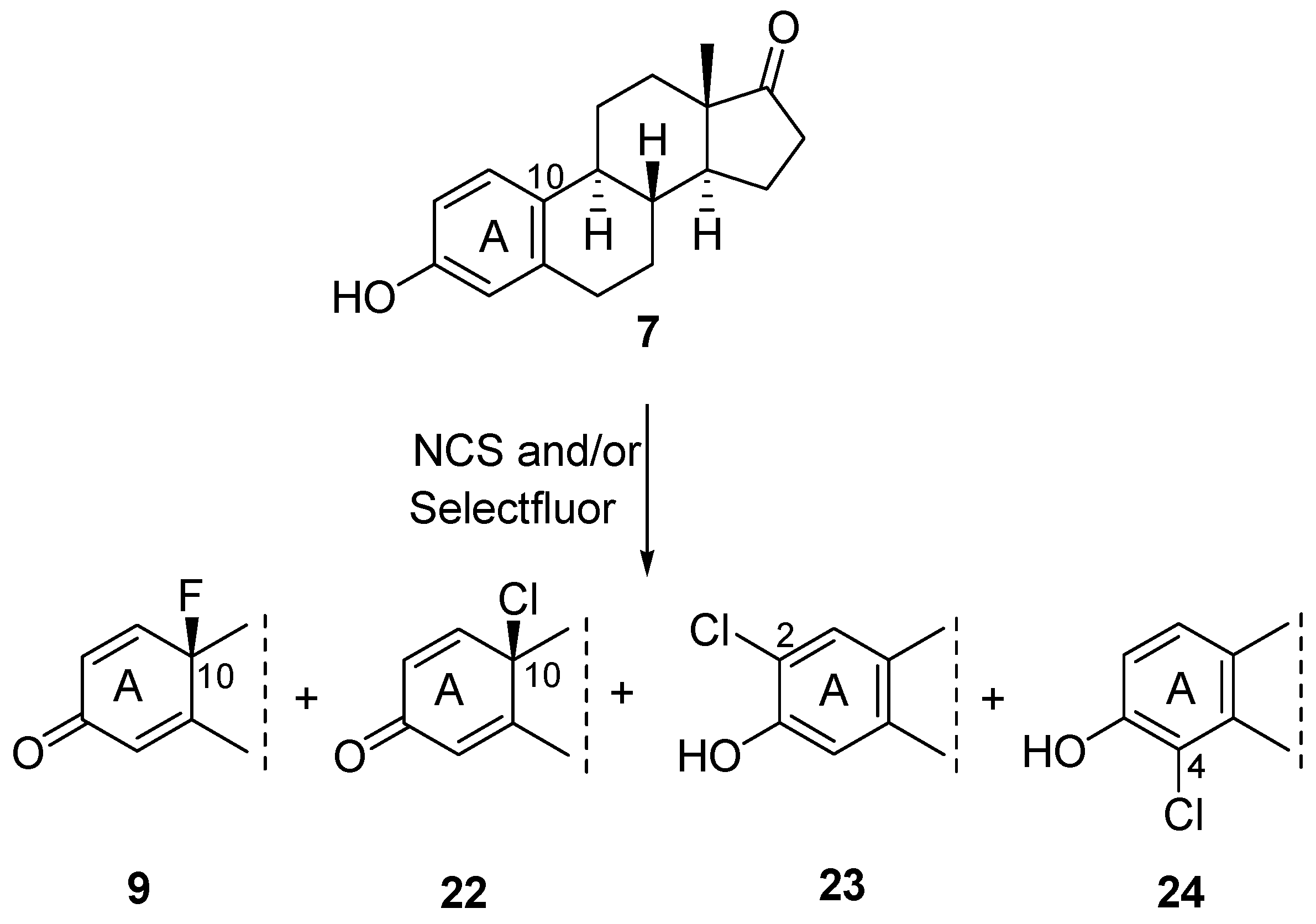 Molecules 24 01783 sch006