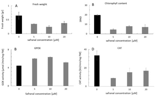 Molecules 24 01788 g002