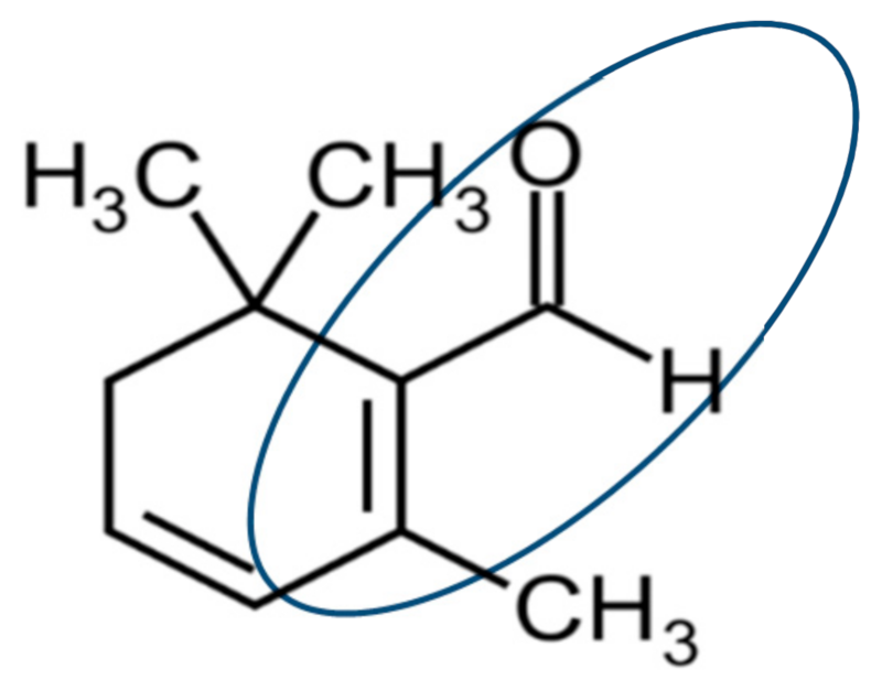 Molecules 24 01788 g004