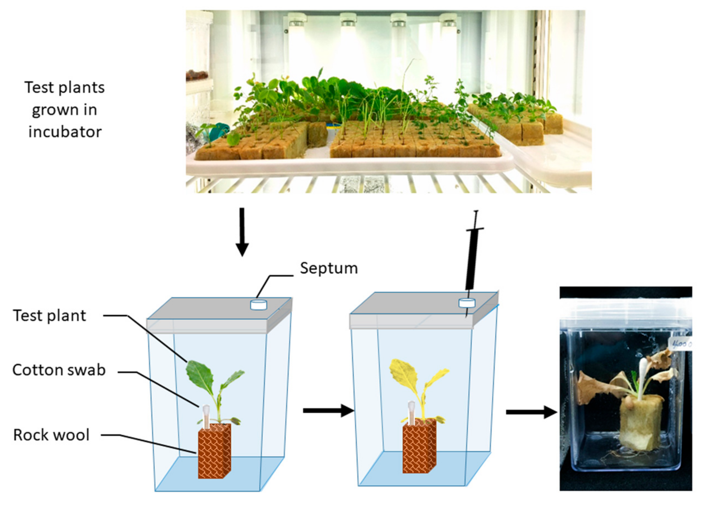 Molecules 24 01788 g007