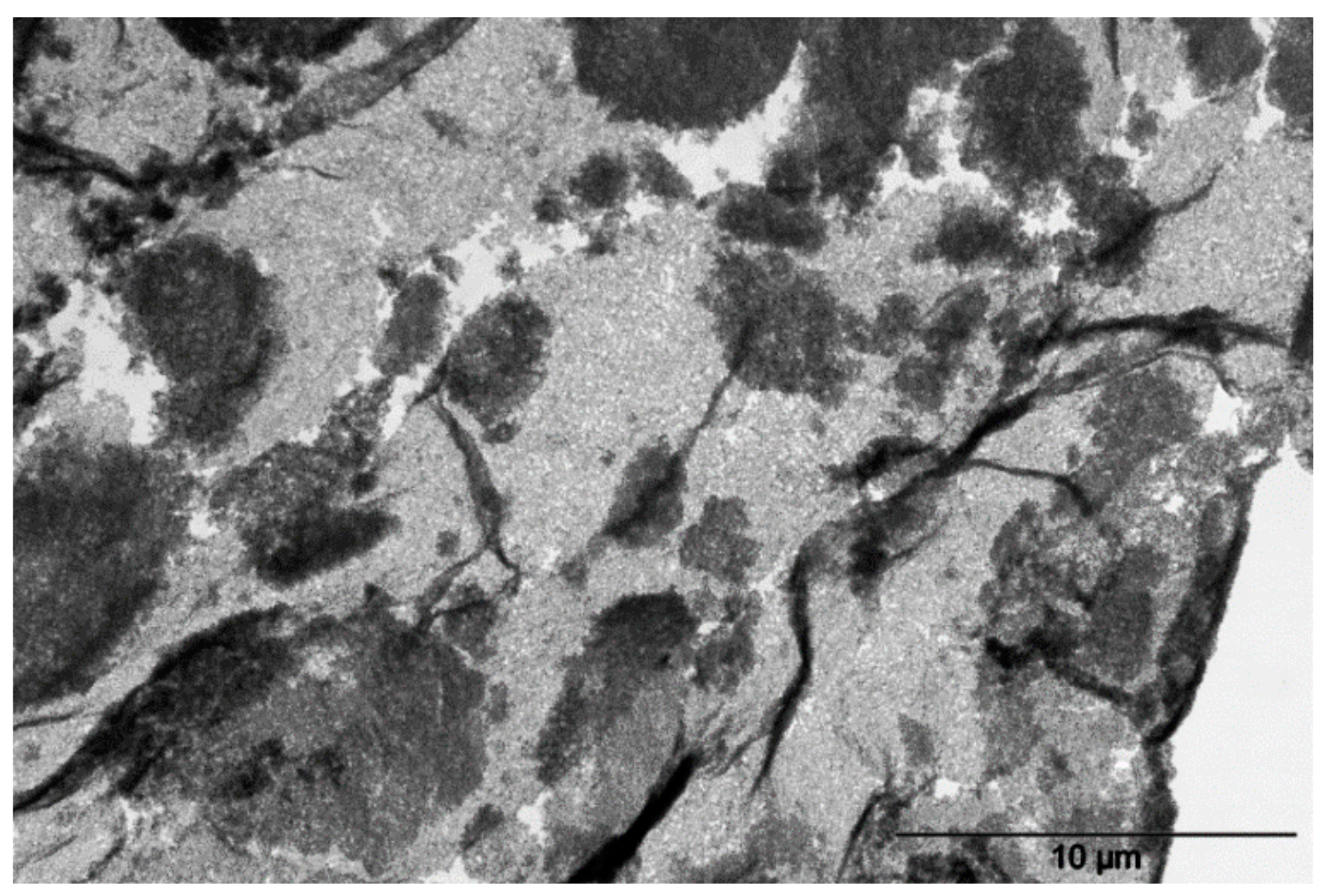 Molecules 24 01797 g003