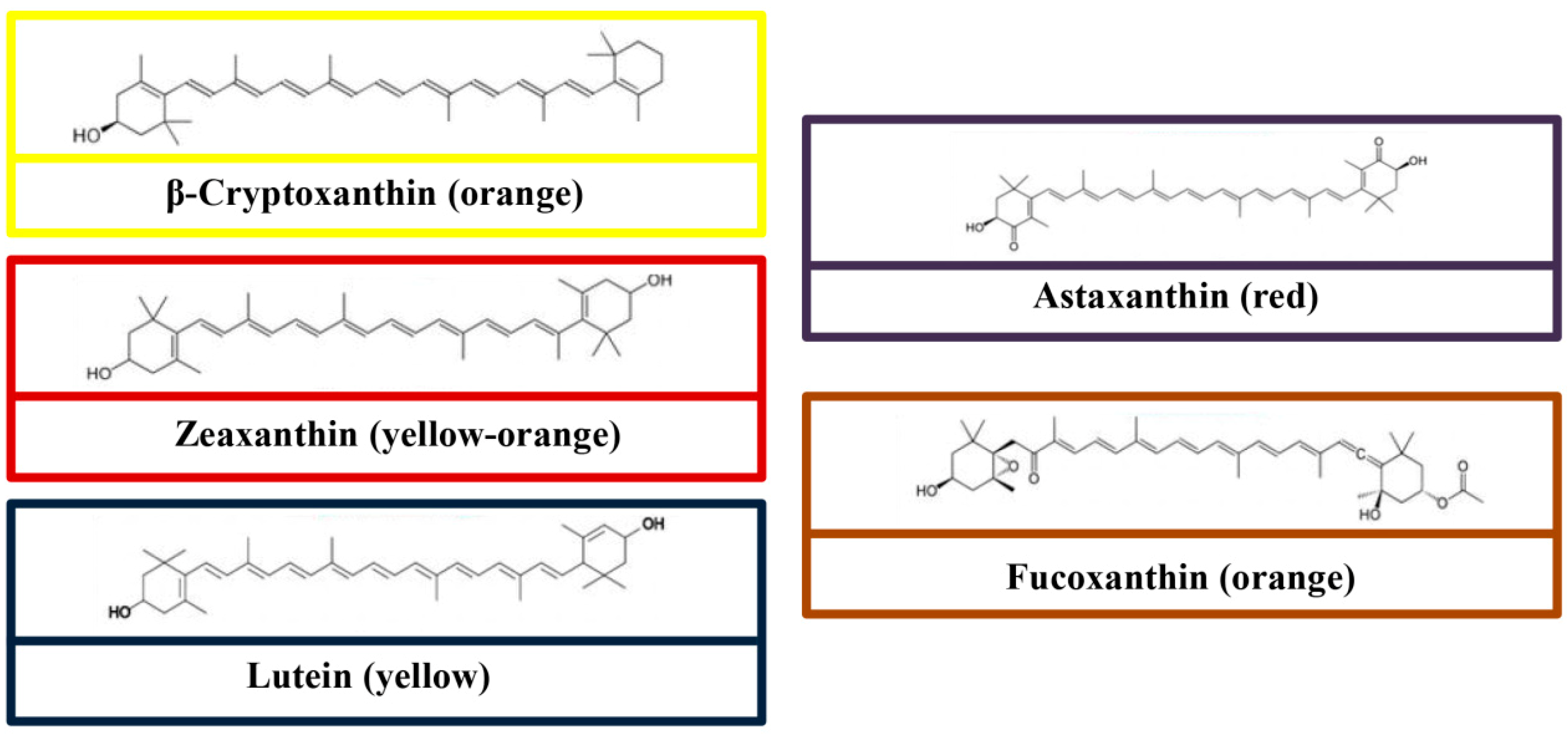 Molecules 24 01801 g002