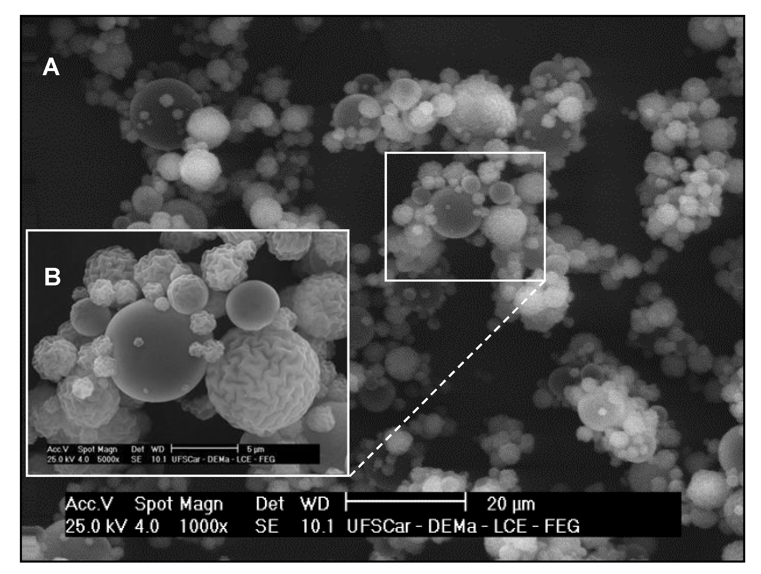 Molecules 24 01808 g002
