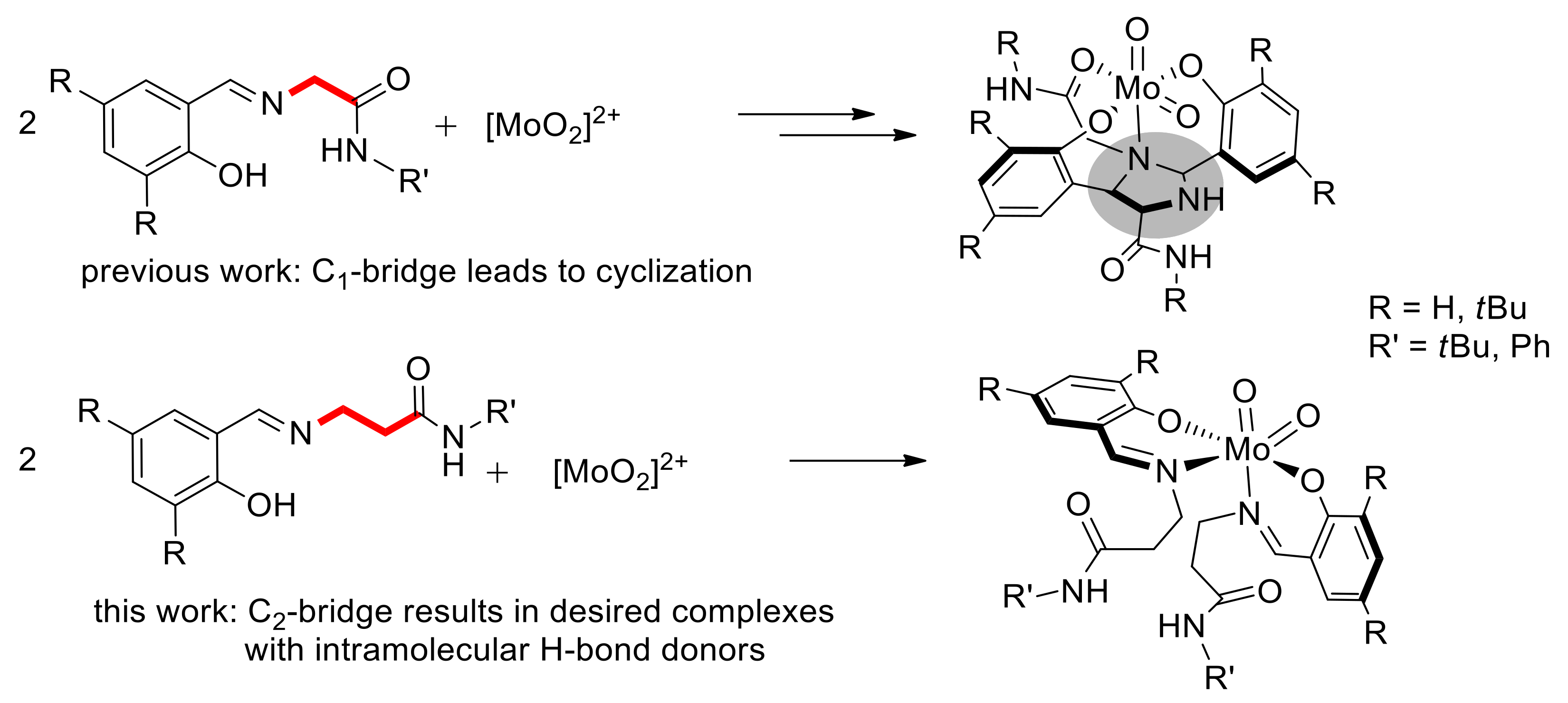 Molecules 24 01814 g001