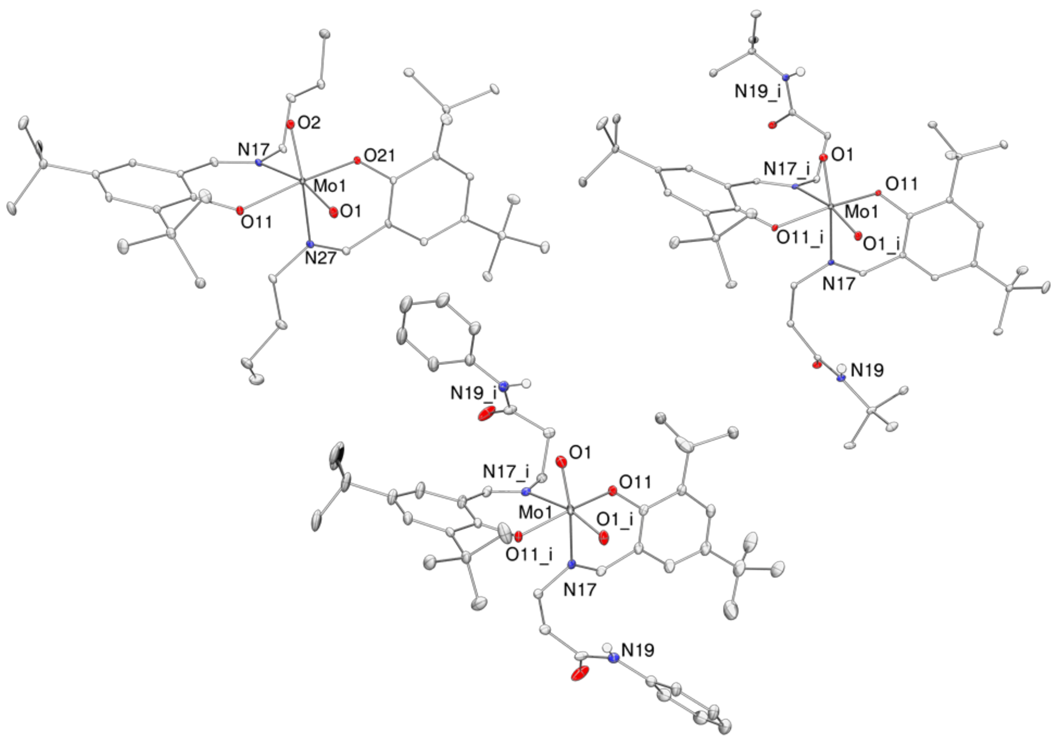 Molecules 24 01814 g003