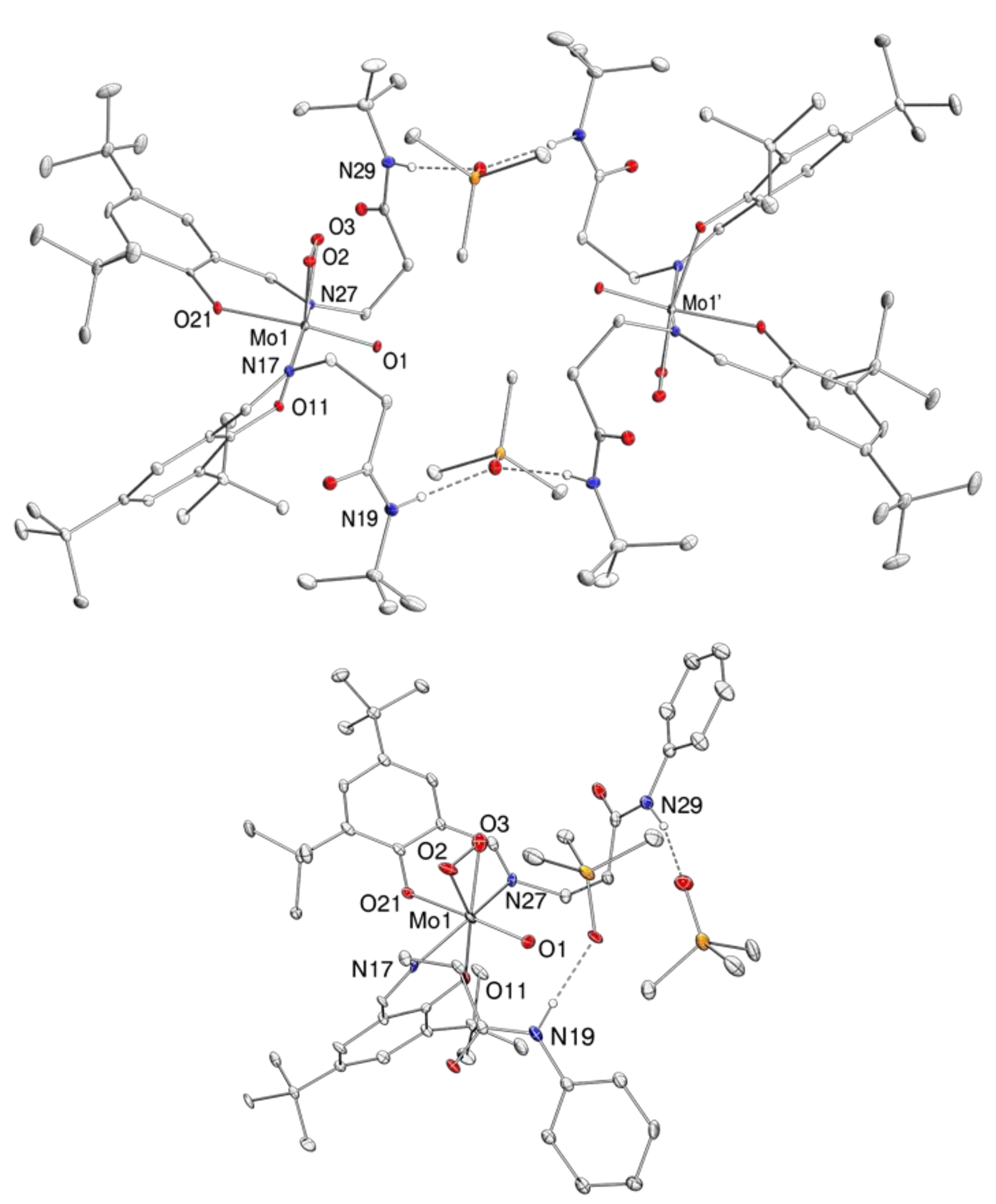 Molecules 24 01814 g005