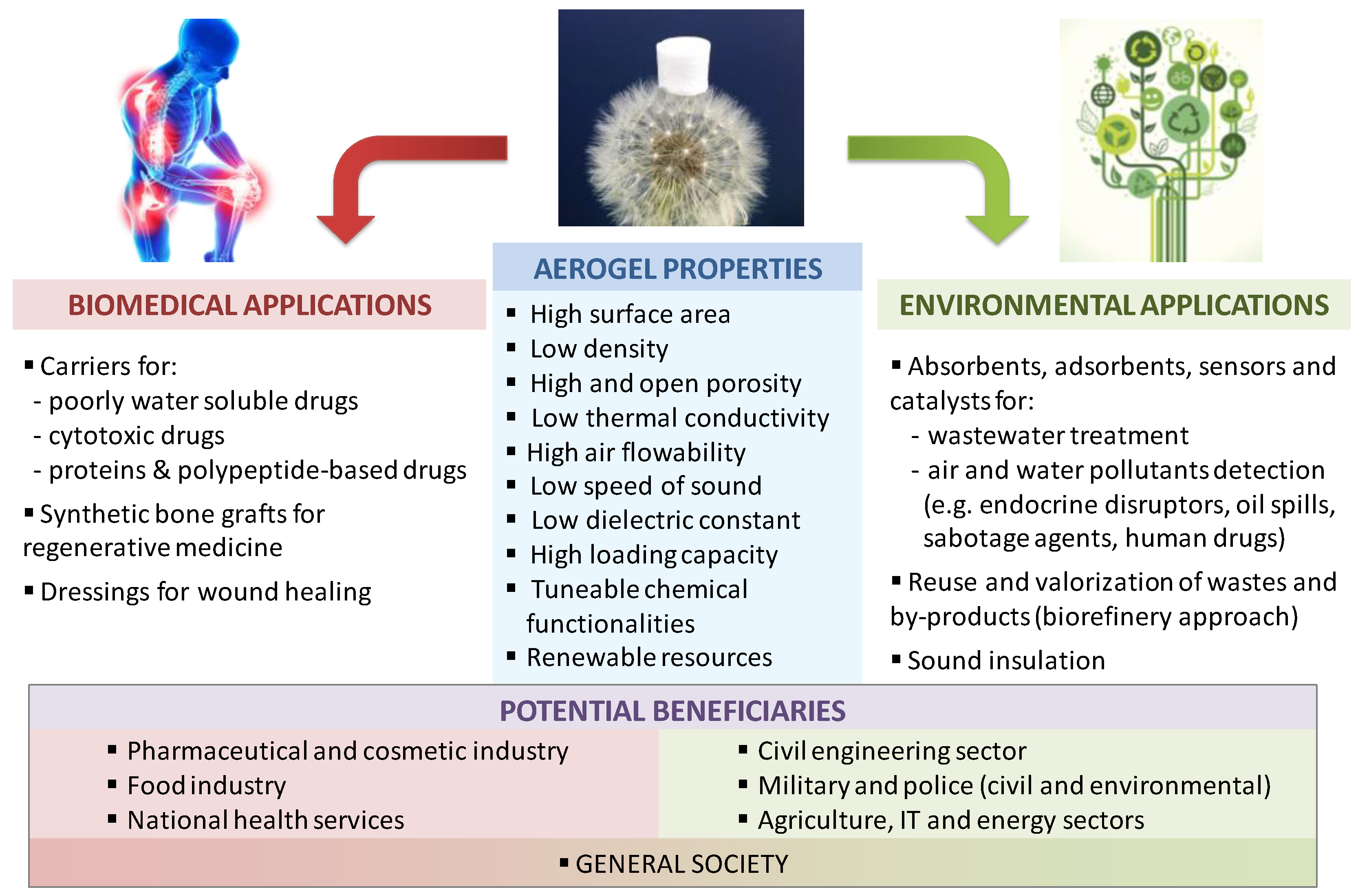 Molecules 24 01815 g001
