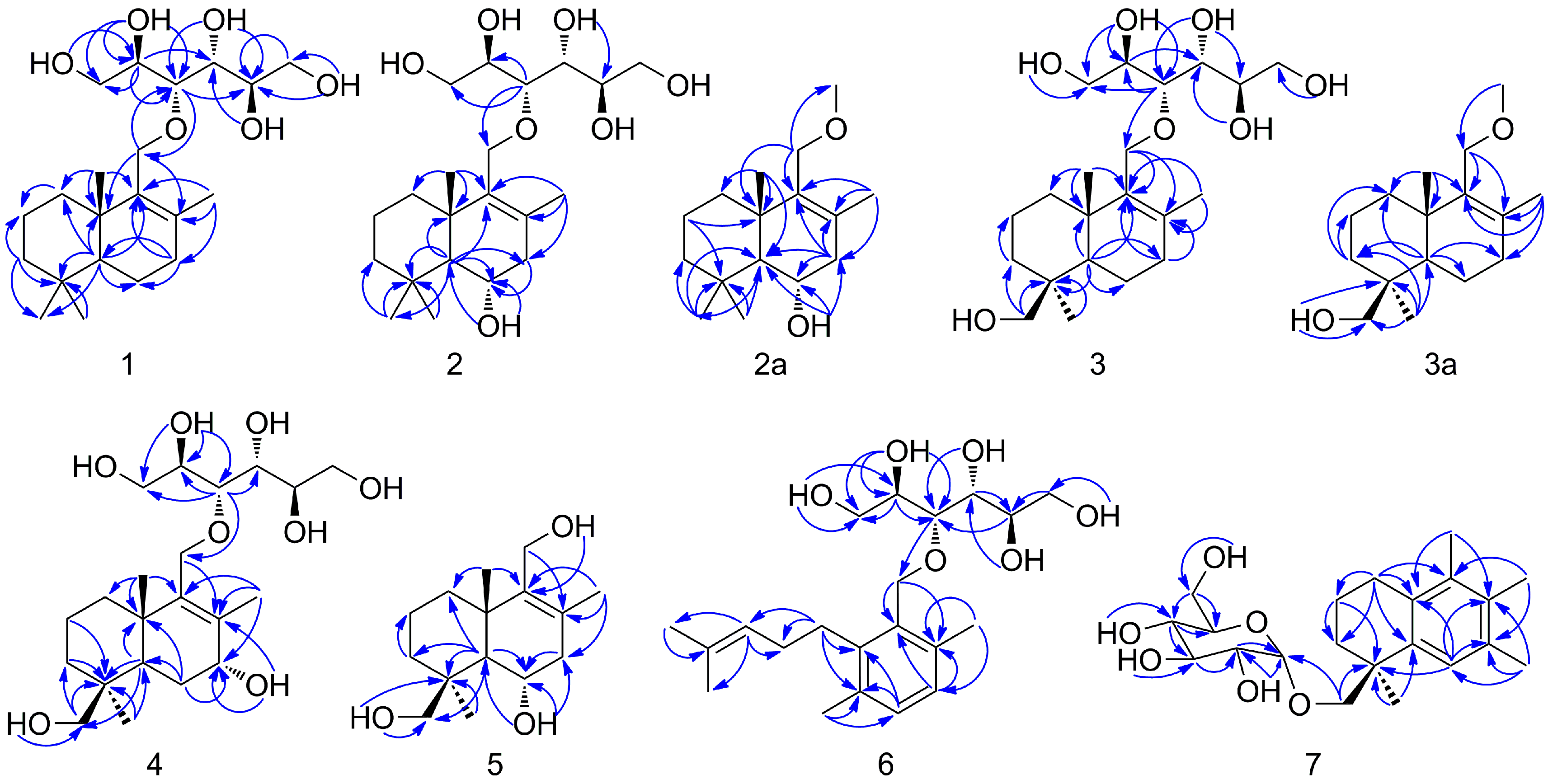 Molecules 24 01817 g002