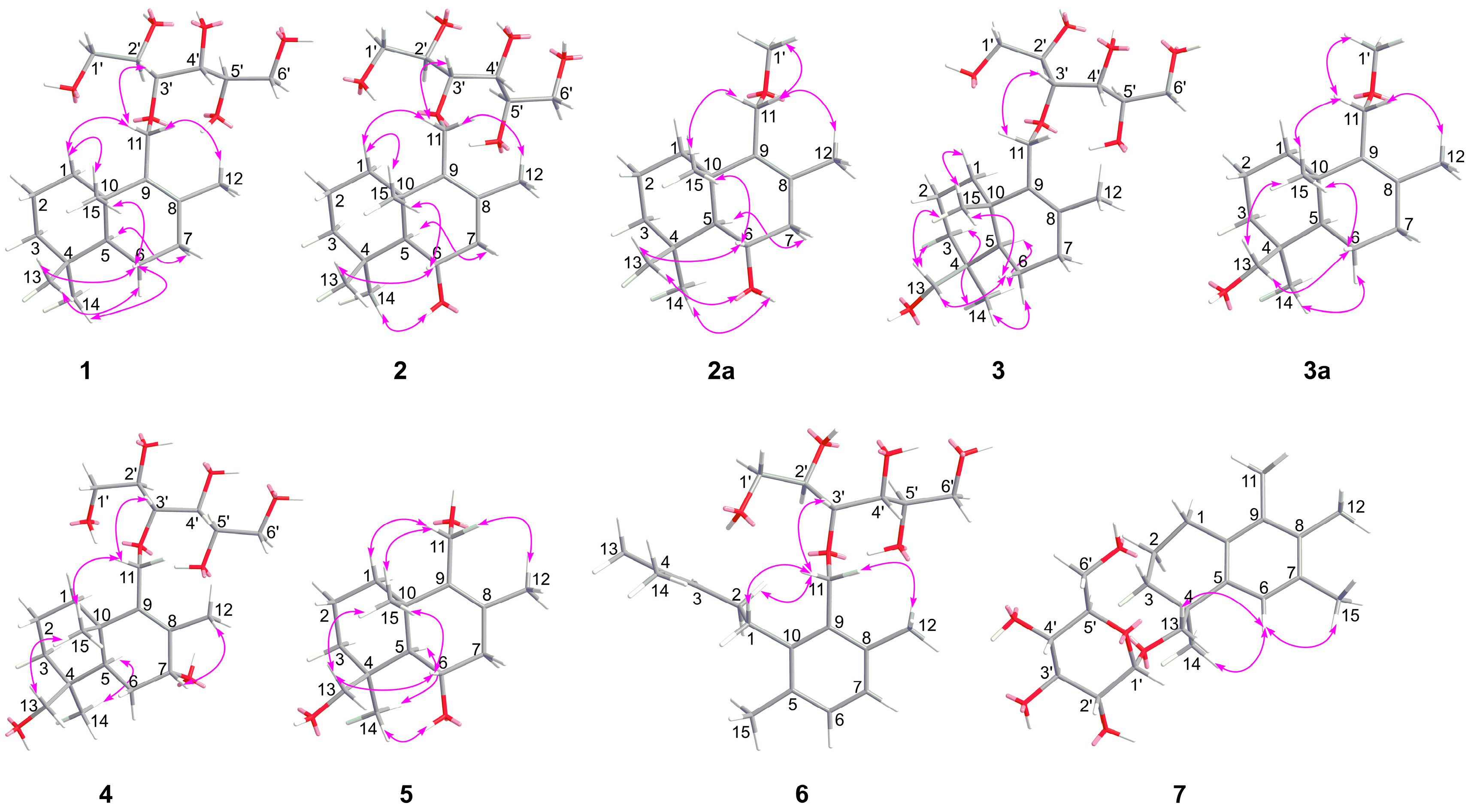 Molecules 24 01817 g003