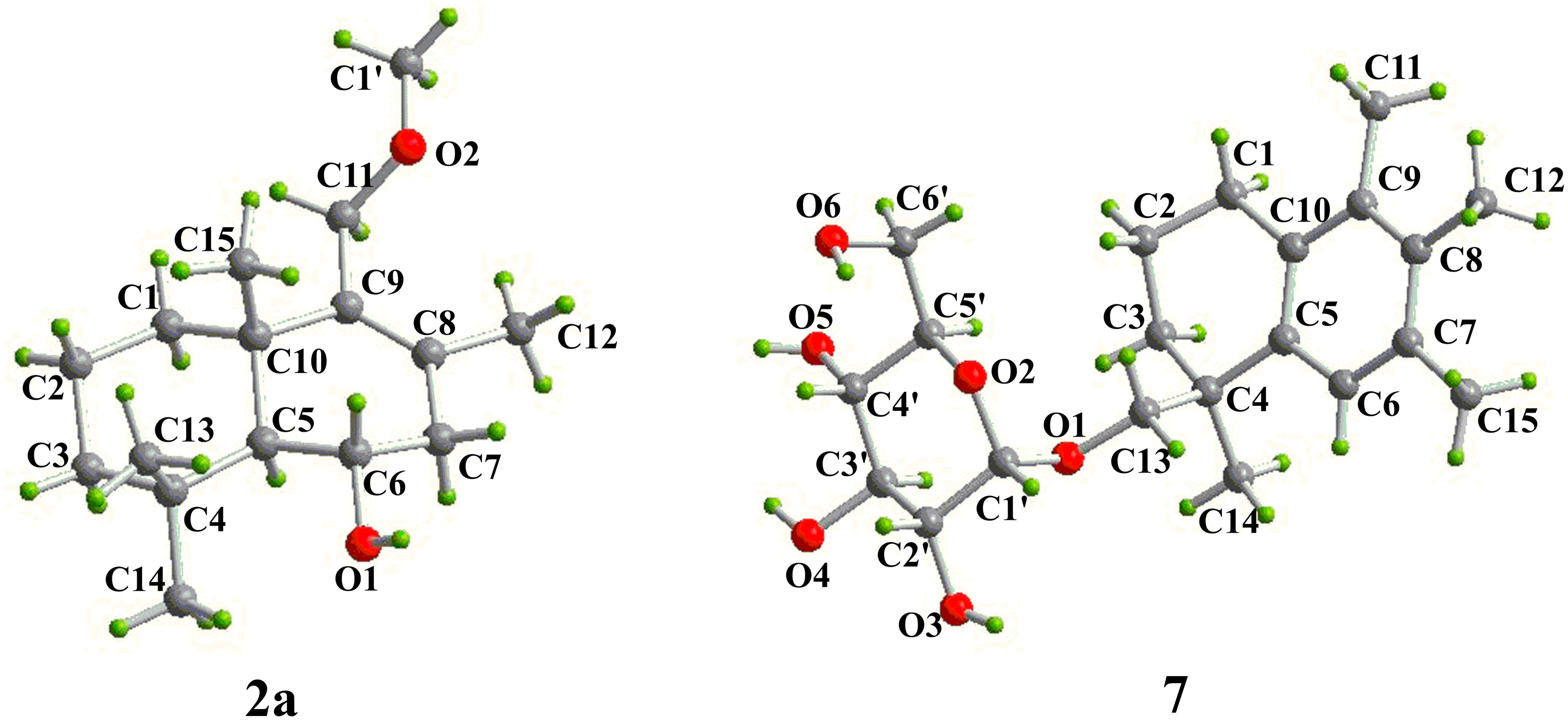 Molecules 24 01817 g005