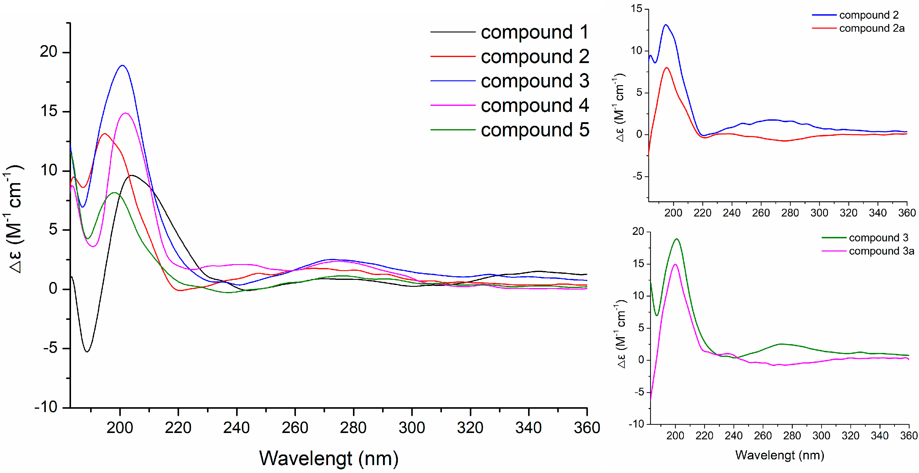 Molecules 24 01817 g006