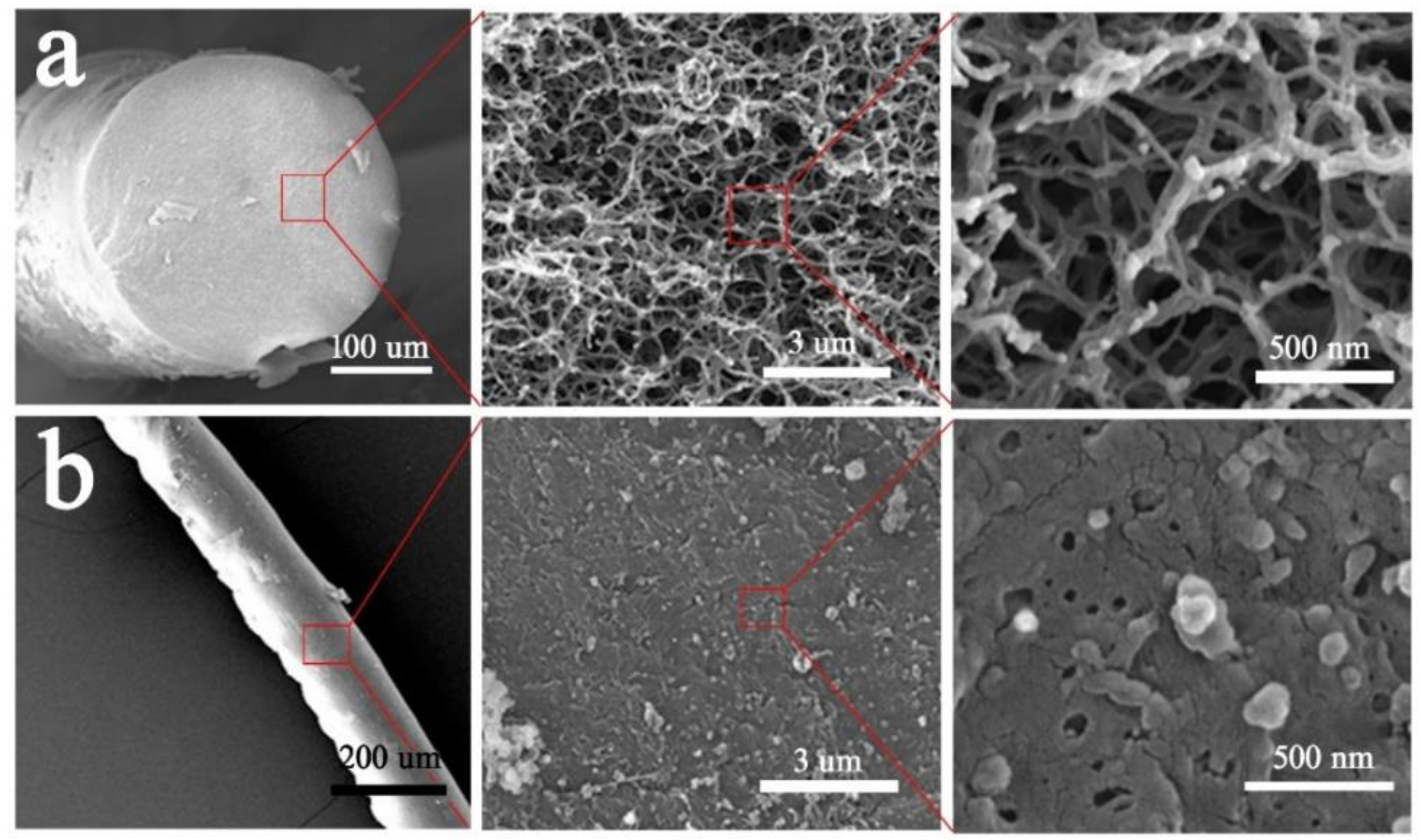 Molecules 24 01821 g002 Molecules 24 01821 g002