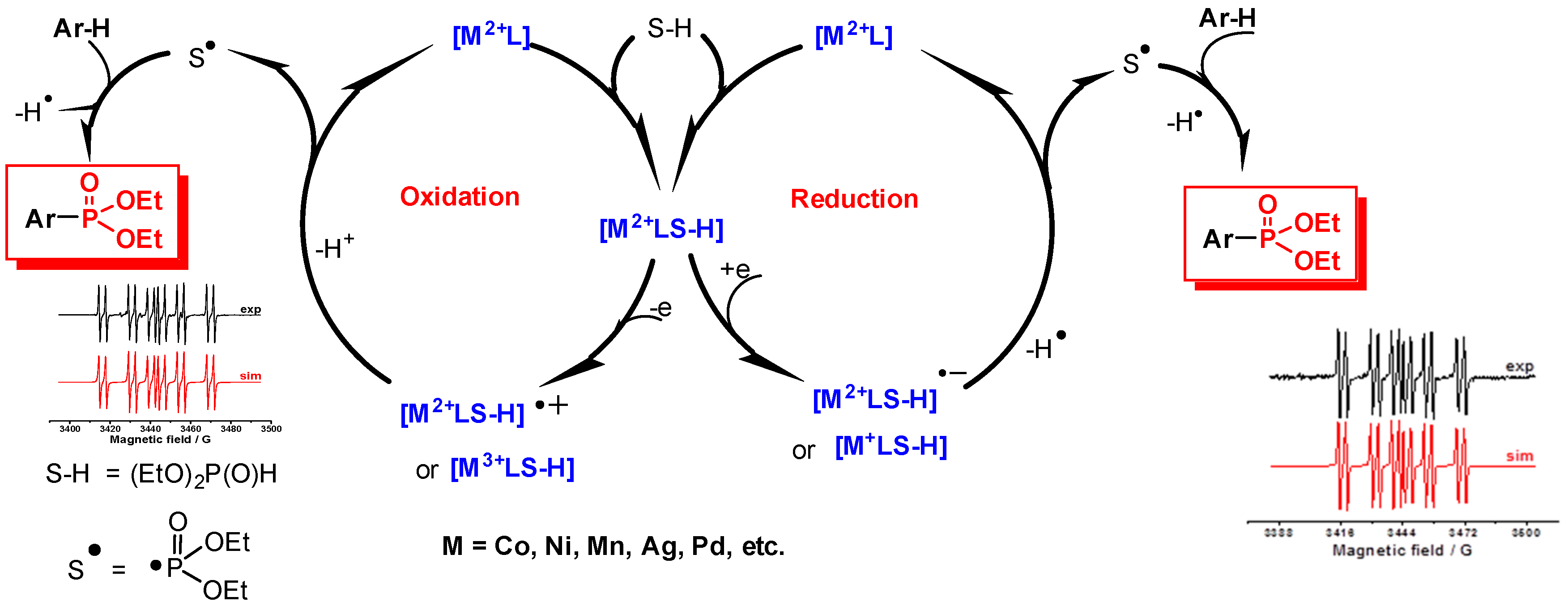 Molecules 24 01823 sch005