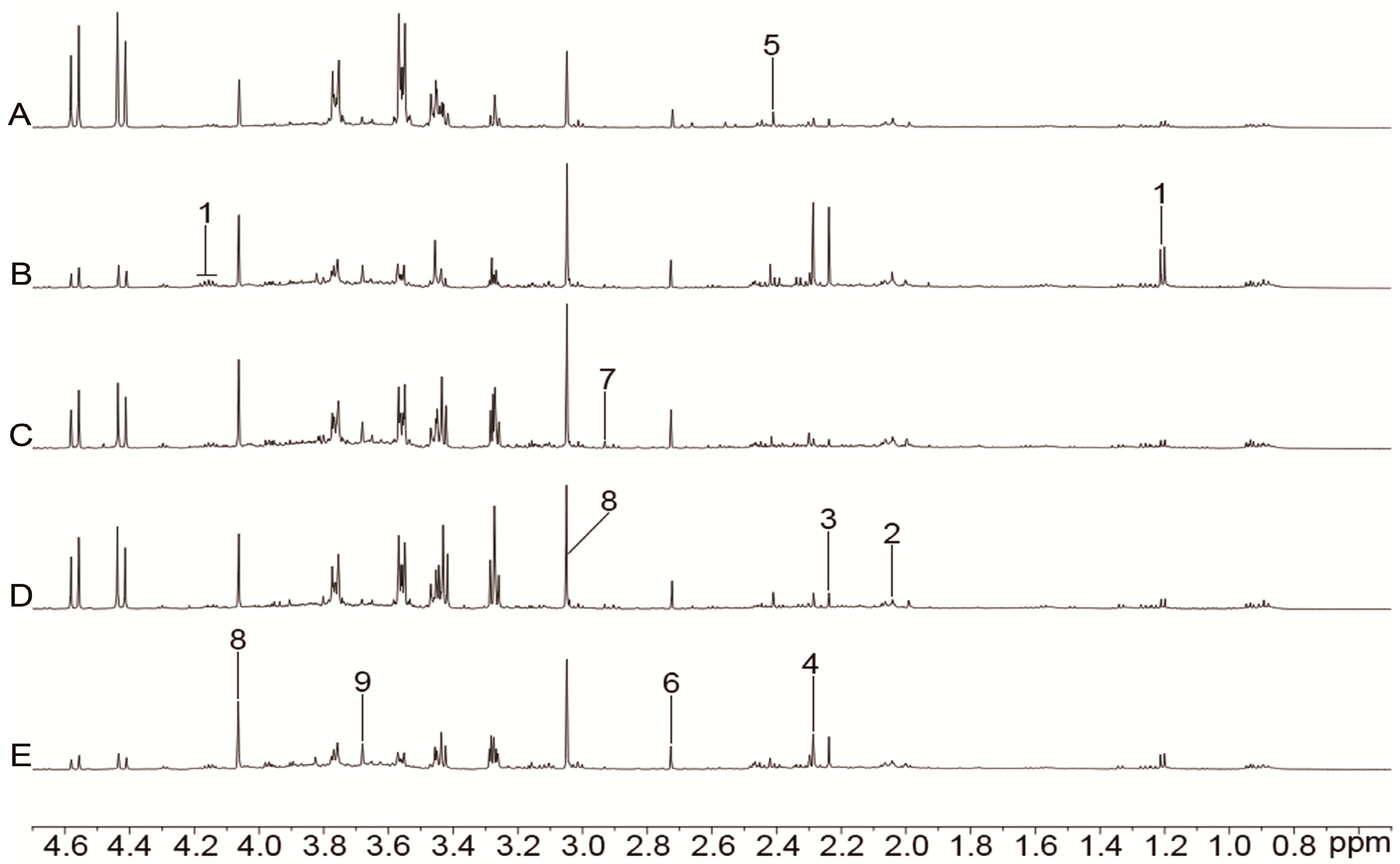 Molecules 24 01831 g004