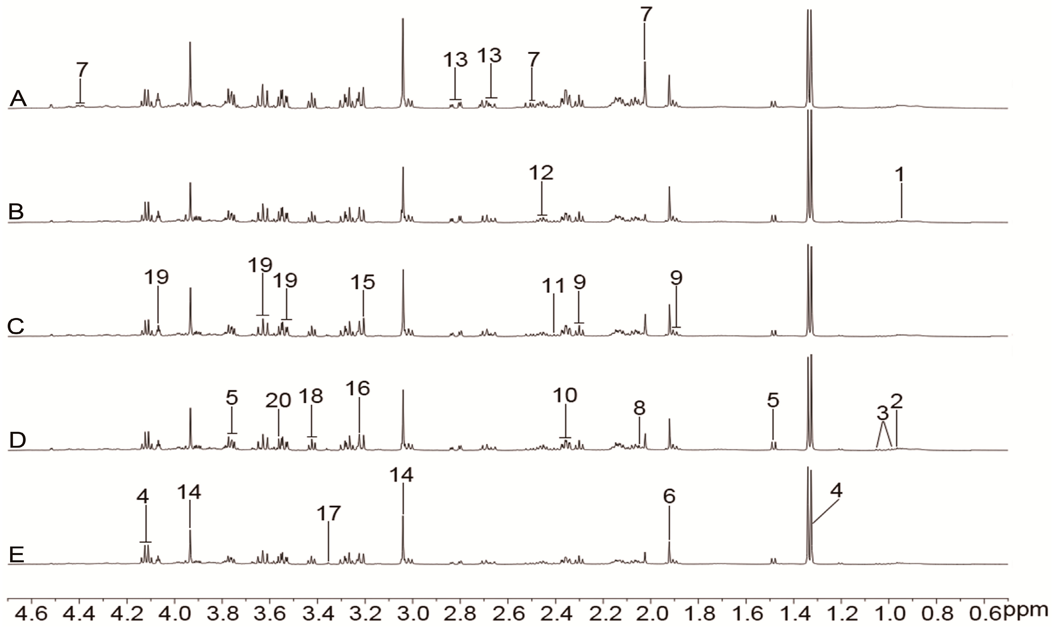 Molecules 24 01831 g005