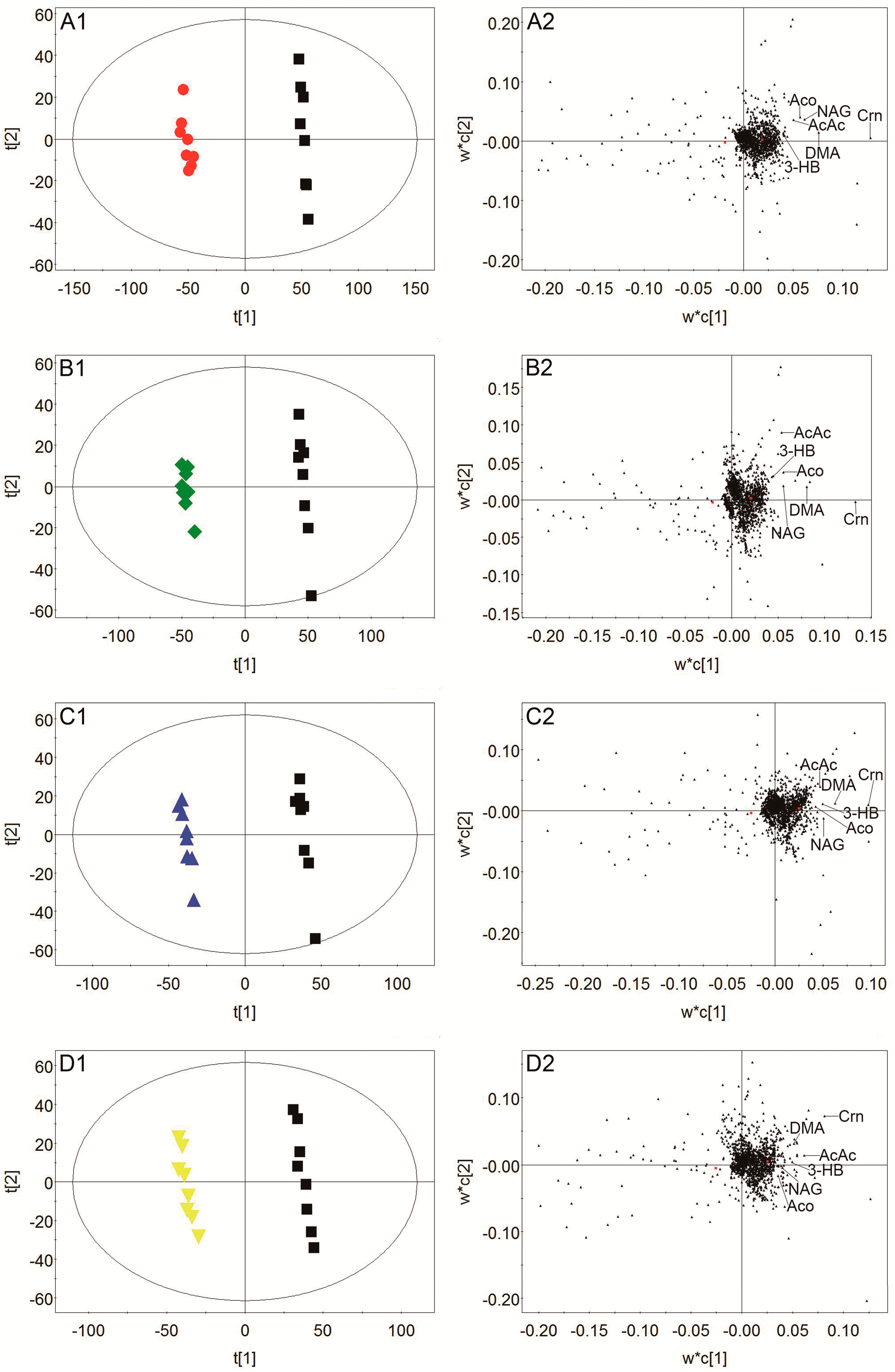 Molecules 24 01831 g008