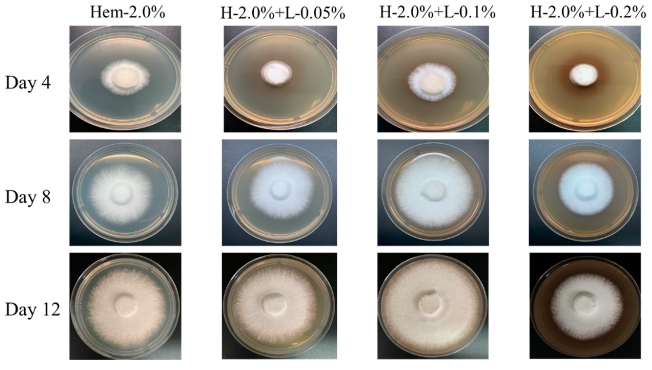 Molecules 24 01834 g001 Molecules 24 01834 g001