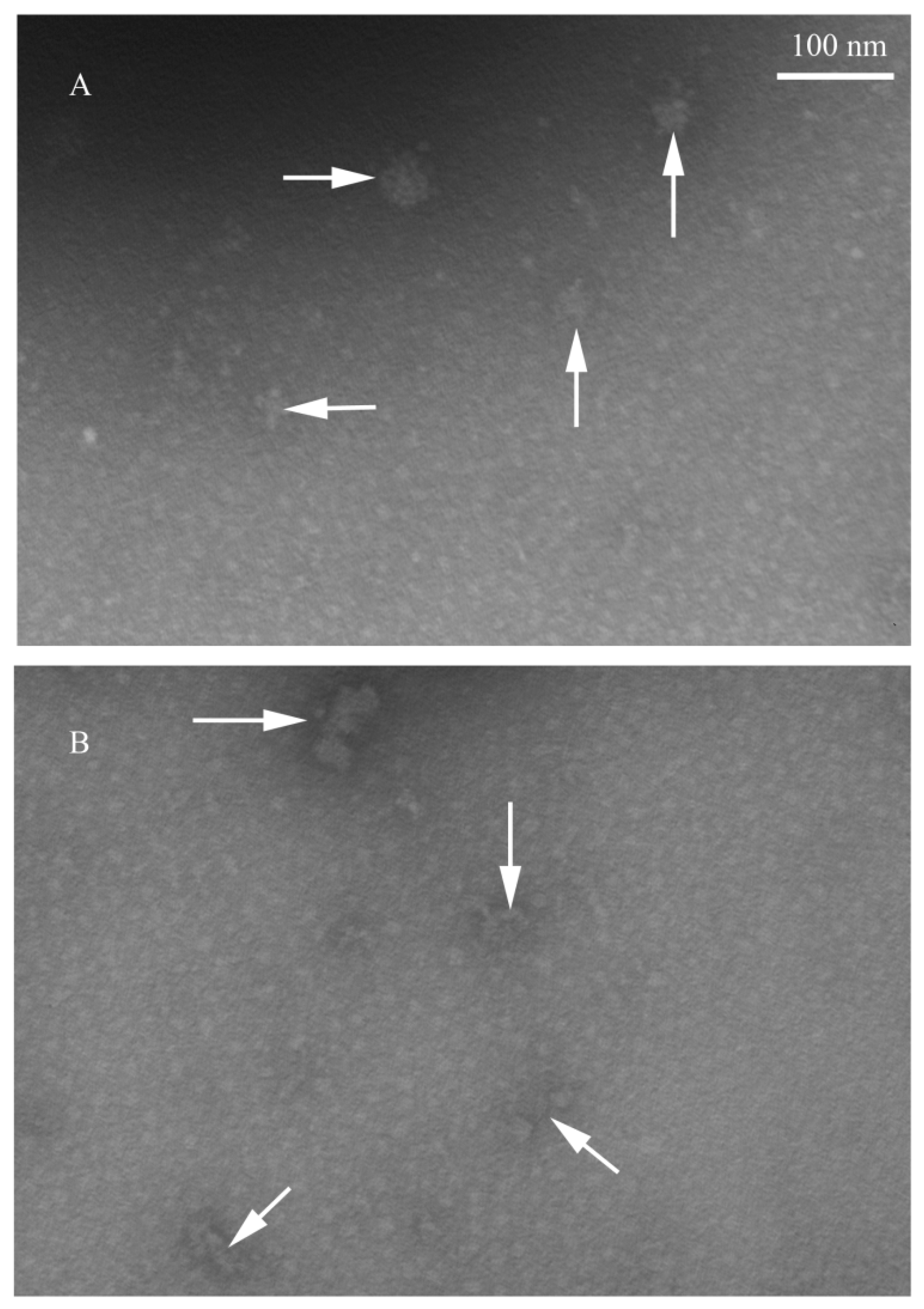 Molecules 24 01835 g005 Molecules 24 01835 g005