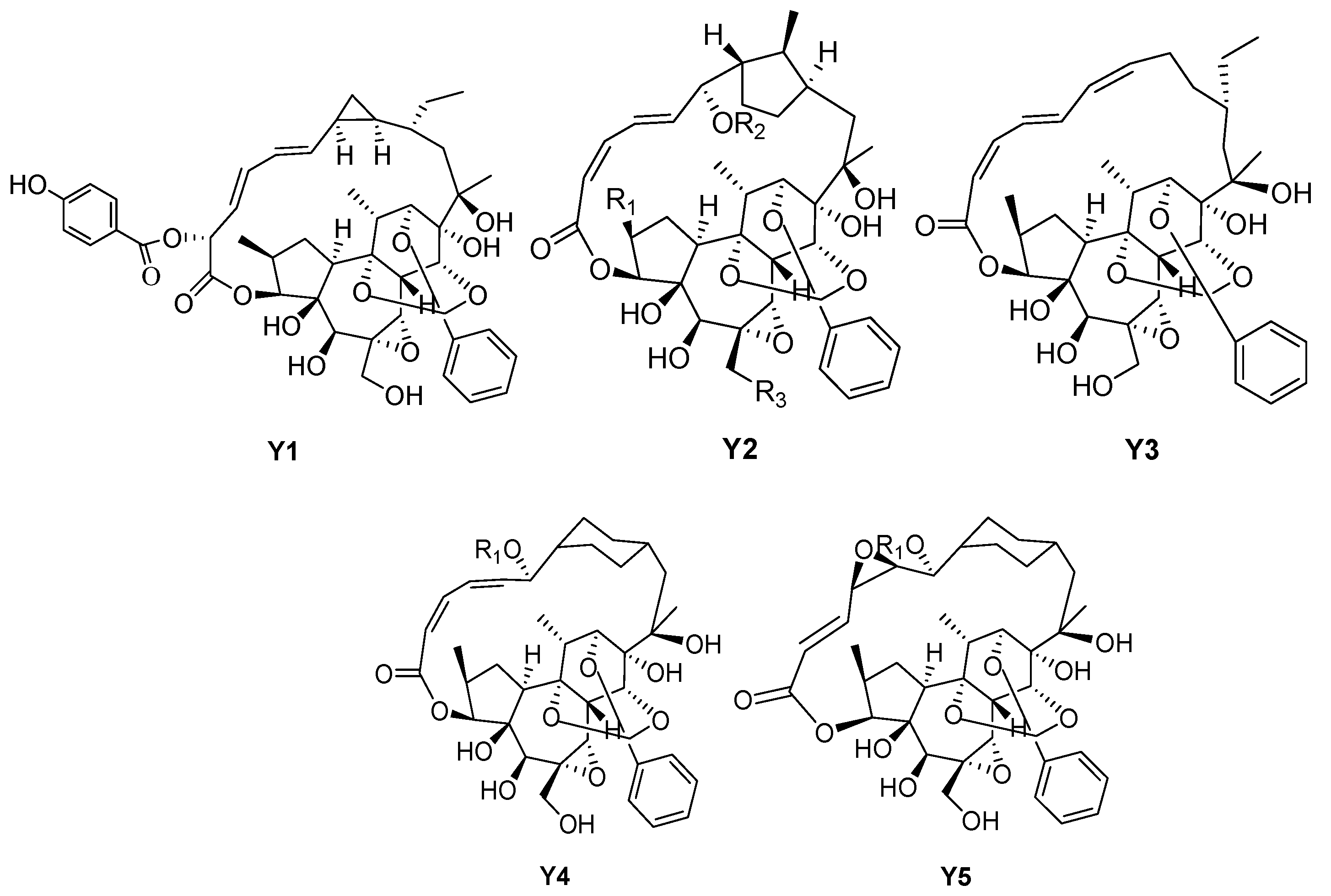 Molecules 24 01842 g006 Molecules 24 01842 g006