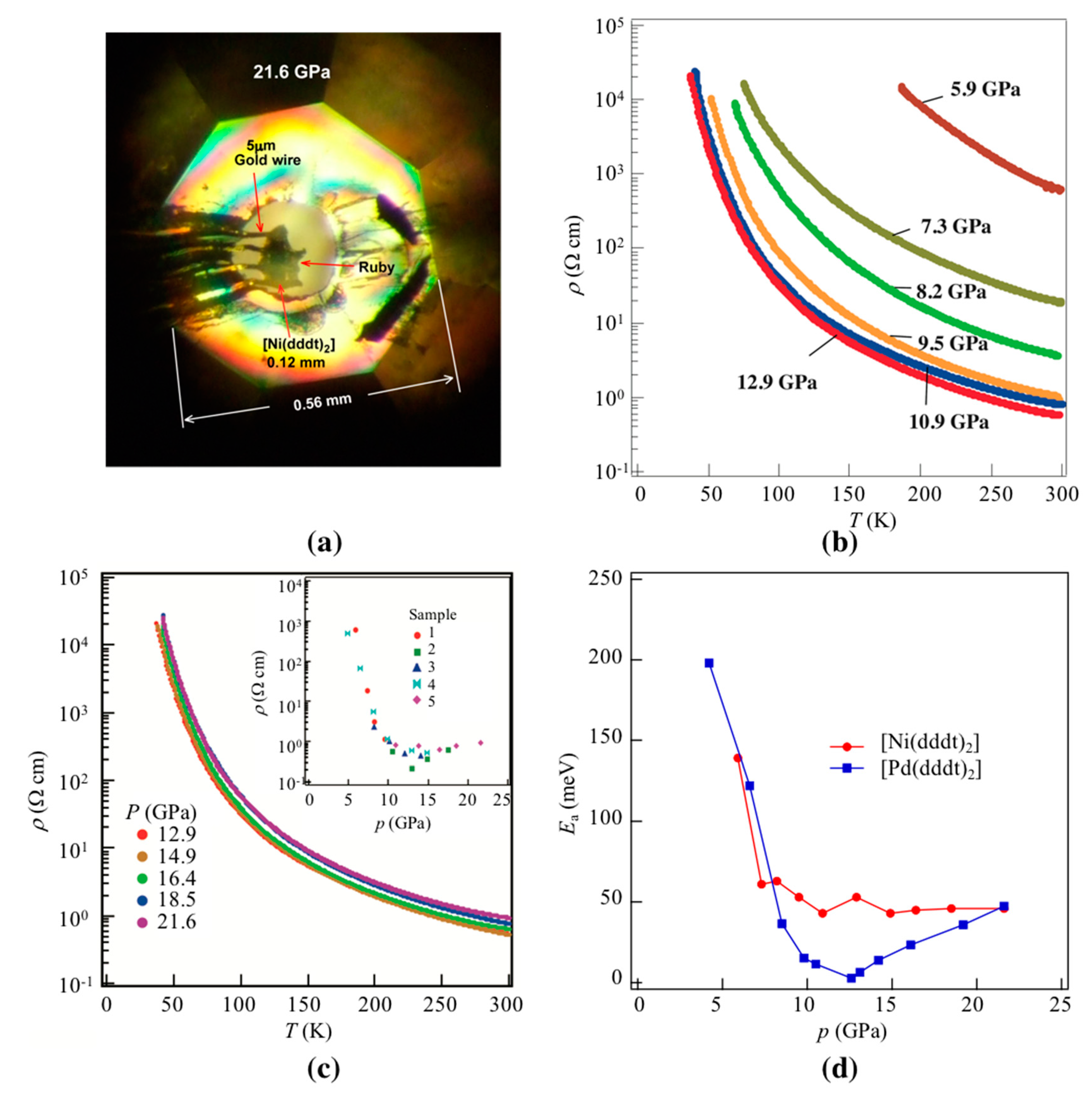 Molecules 24 01843 g002