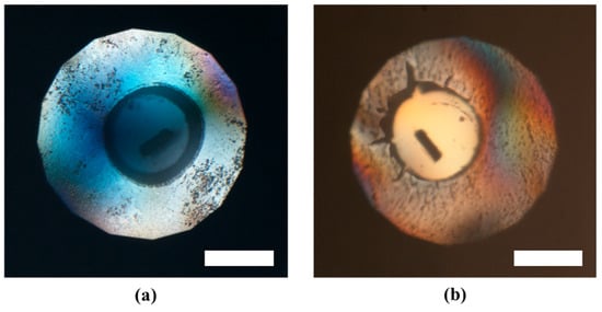 Molecules 24 01843 g0a3