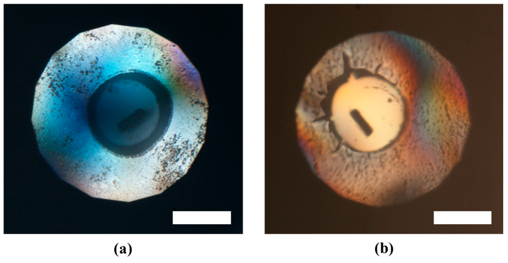 Molecules 24 01843 g0a3