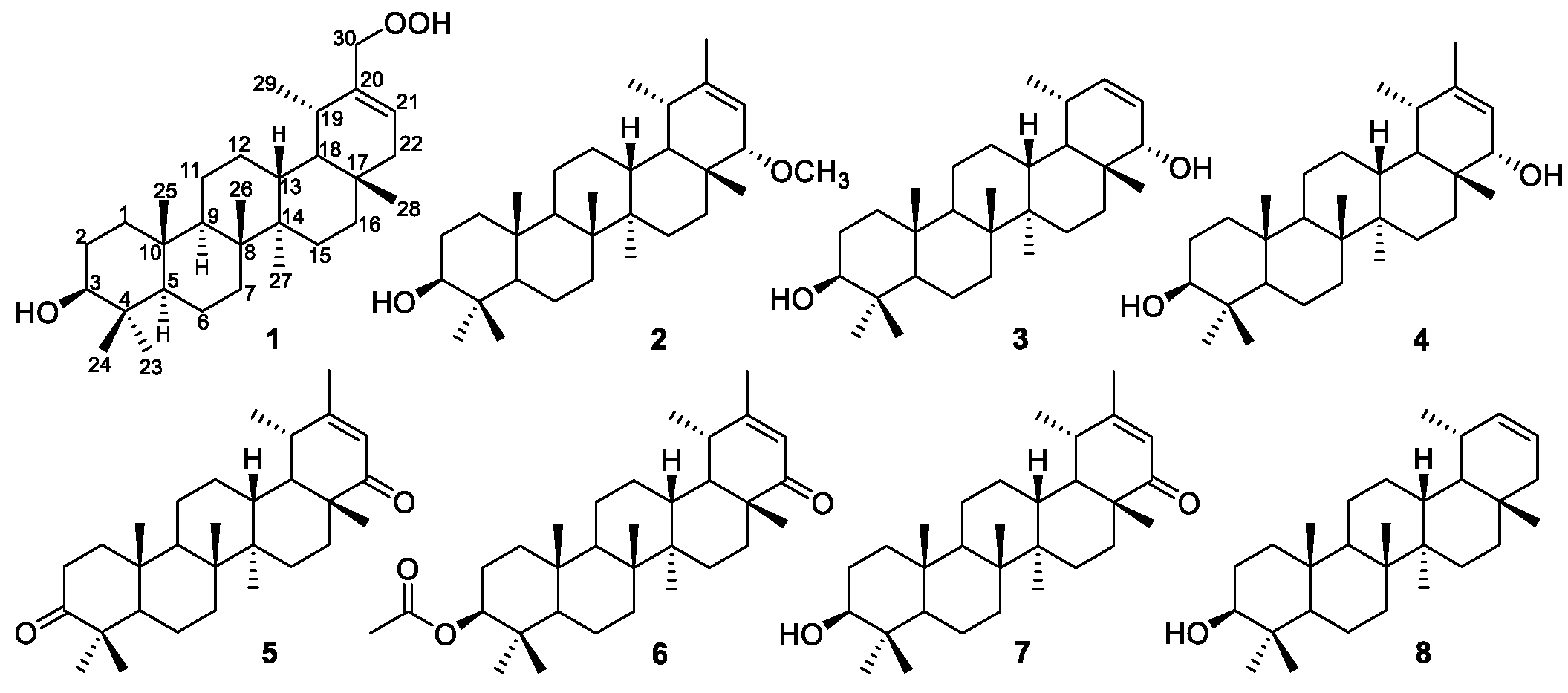 Molecules 24 01844 g001