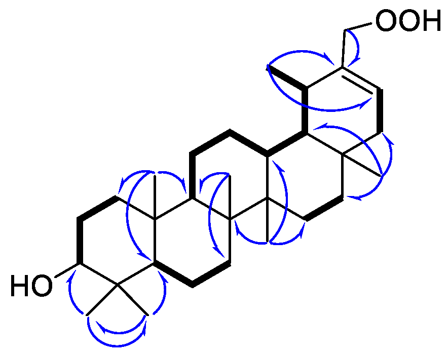 Molecules 24 01844 g002