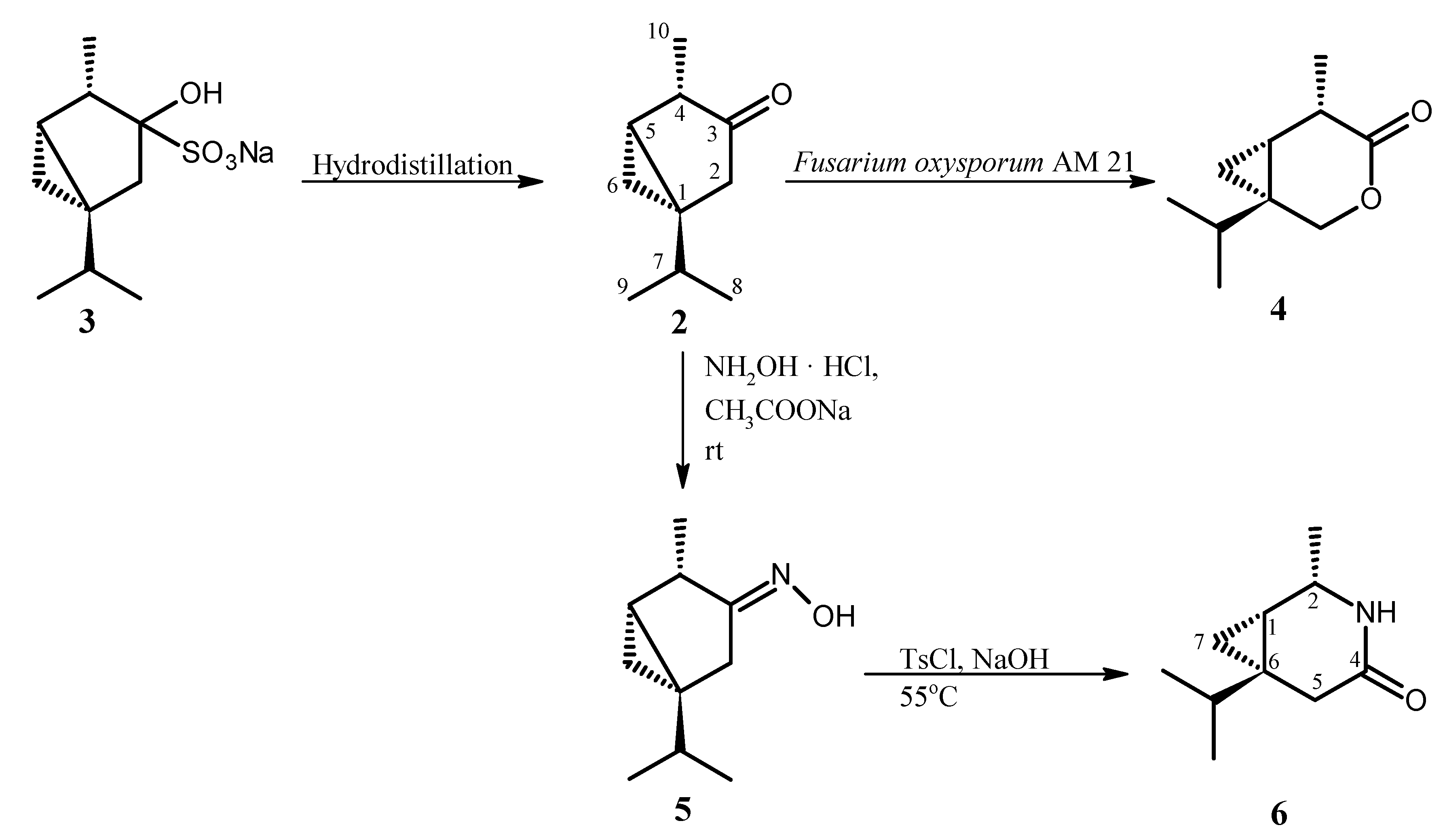 Molecules 24 01847 sch001