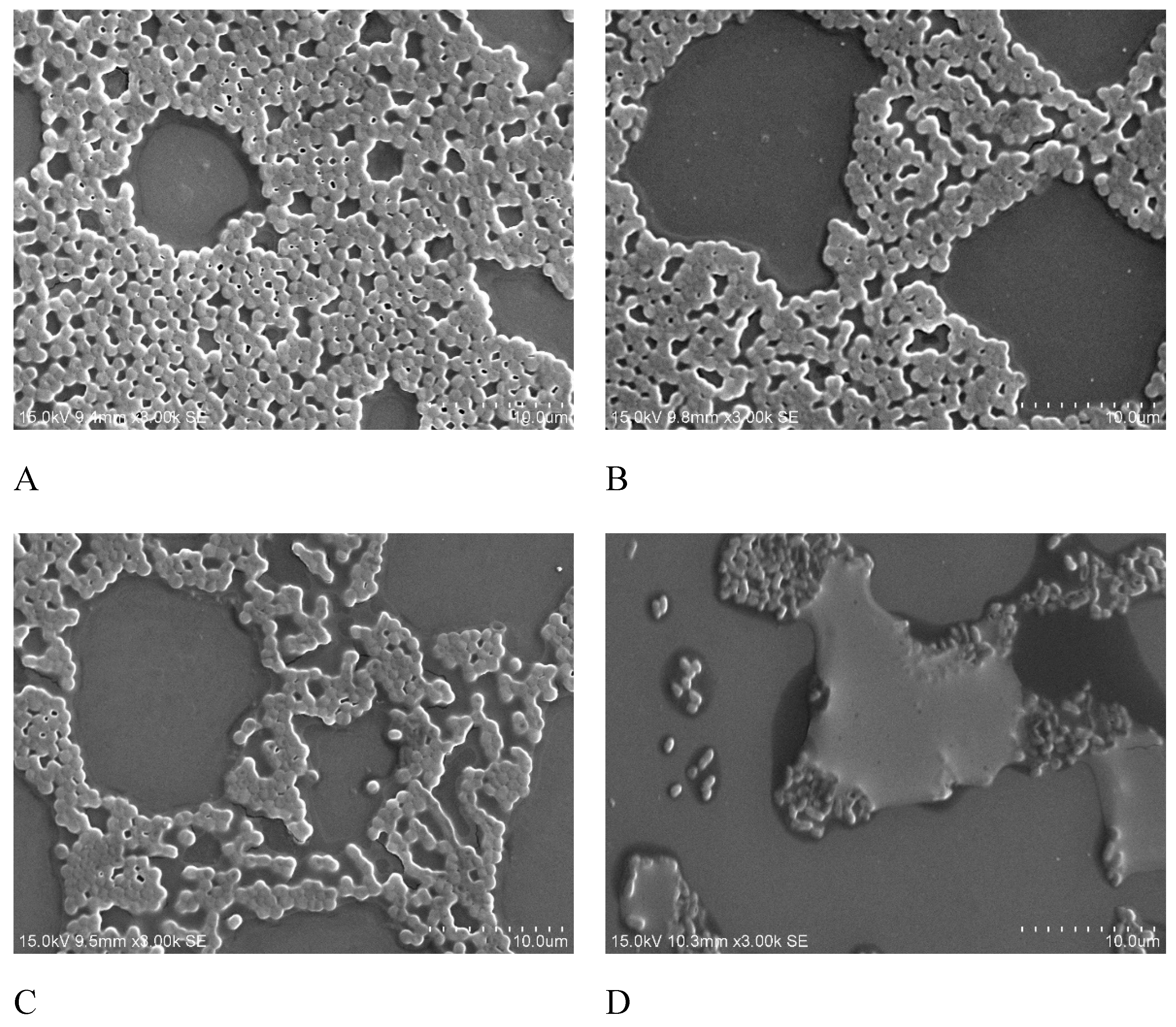 Molecules 24 01849 g004
