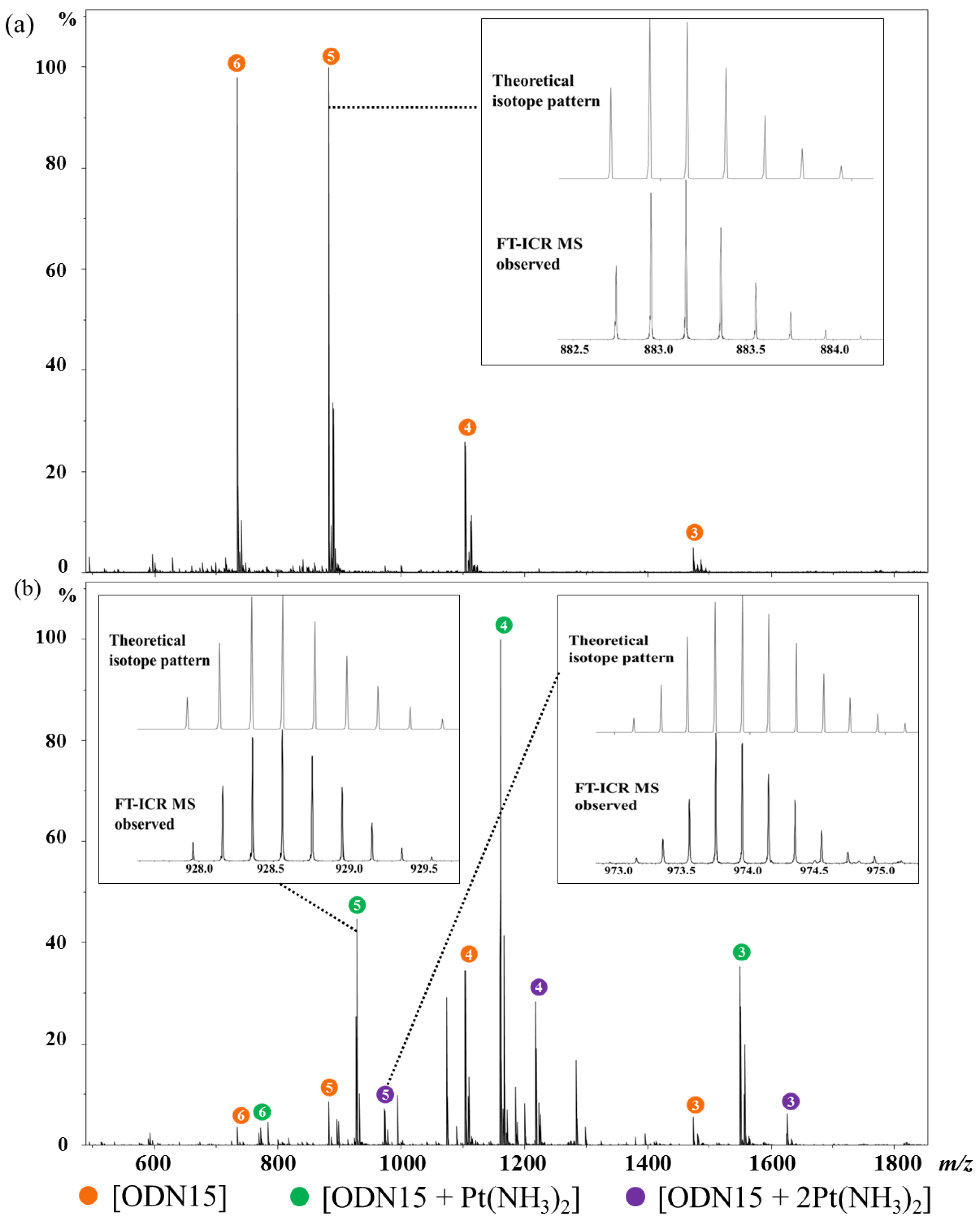 Molecules 24 01852 g001