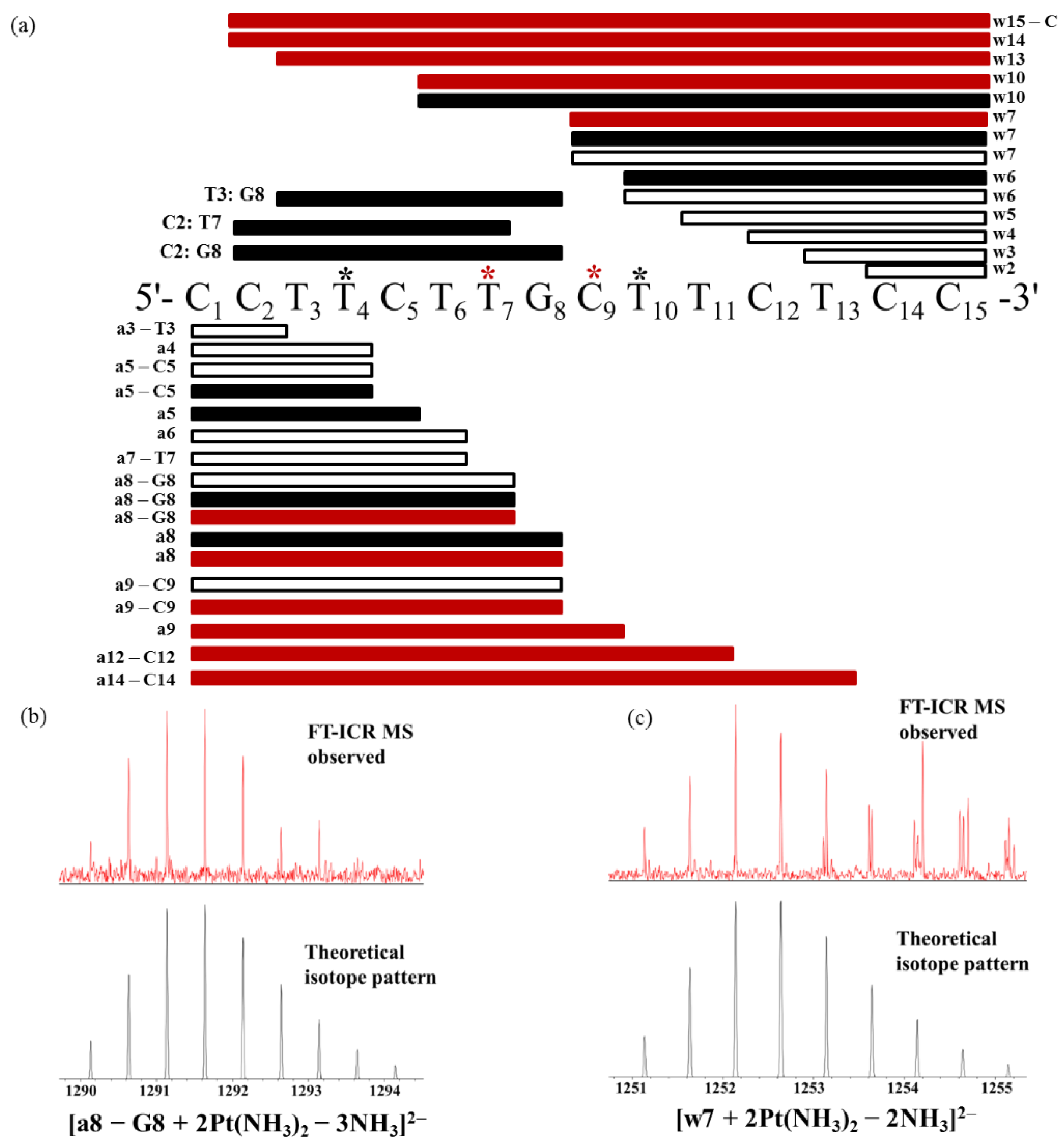 Molecules 24 01852 g006