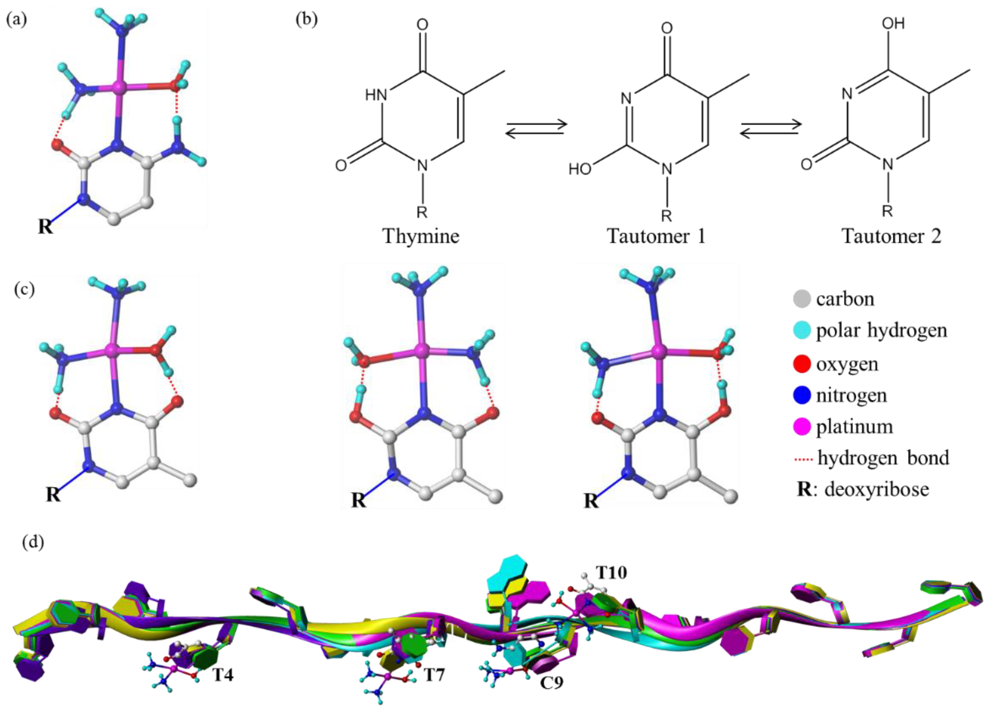 Molecules 24 01852 g007