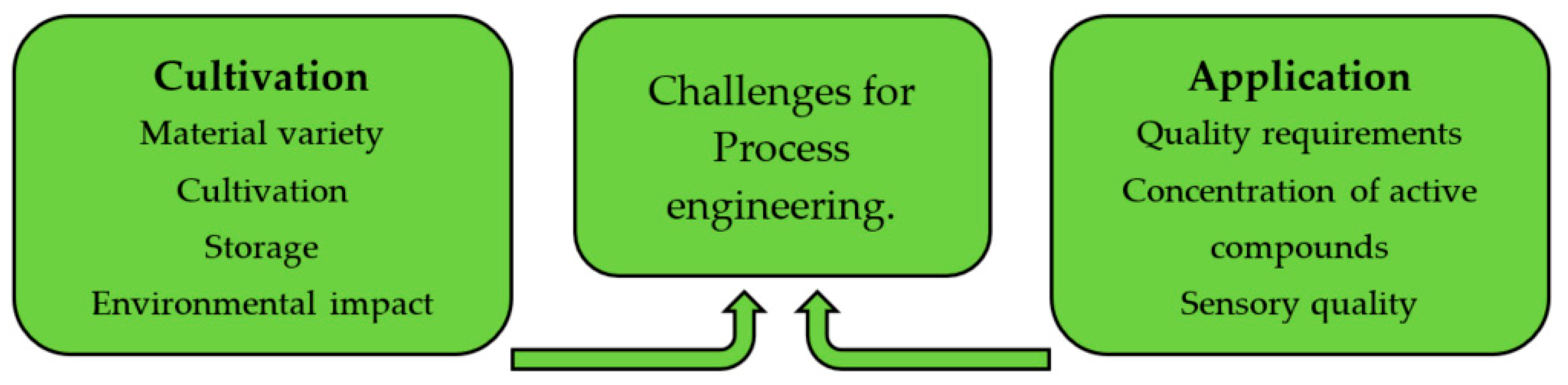 Molecules 24 01853 g001