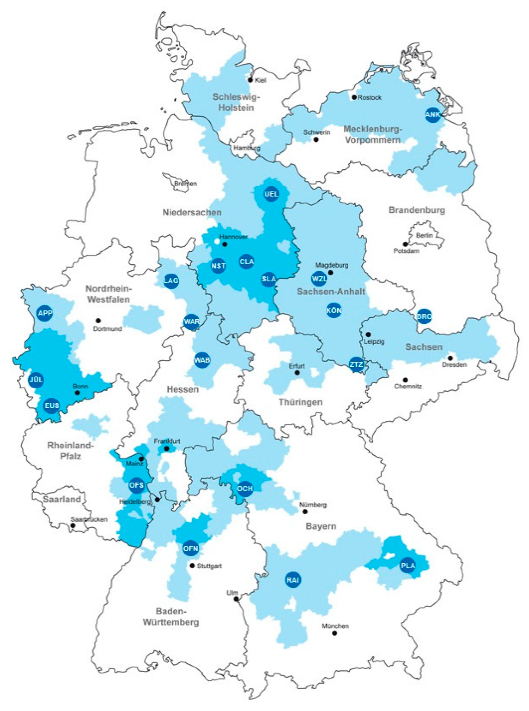 Molecules 24 01853 g003