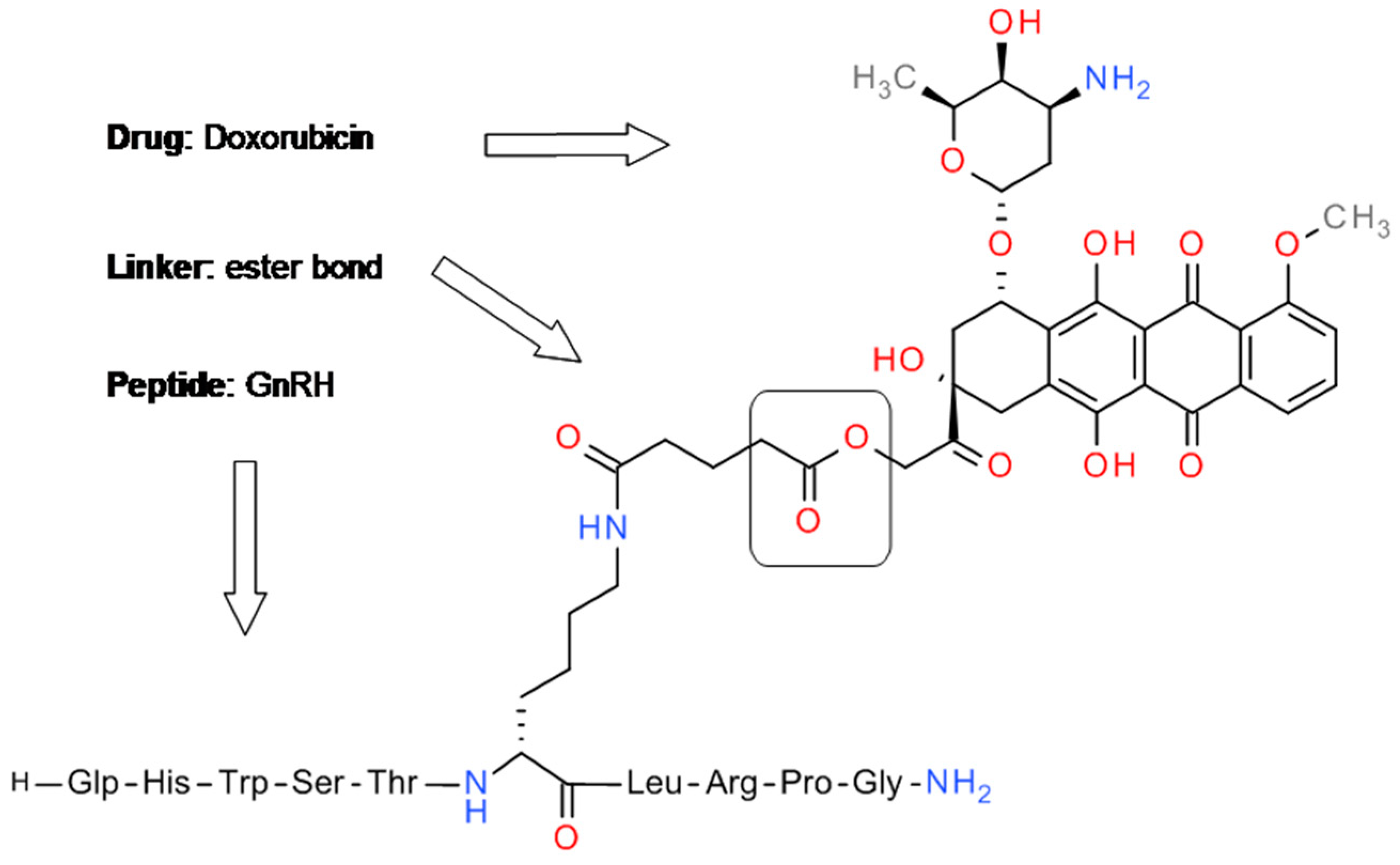 Molecules 24 01855 g002