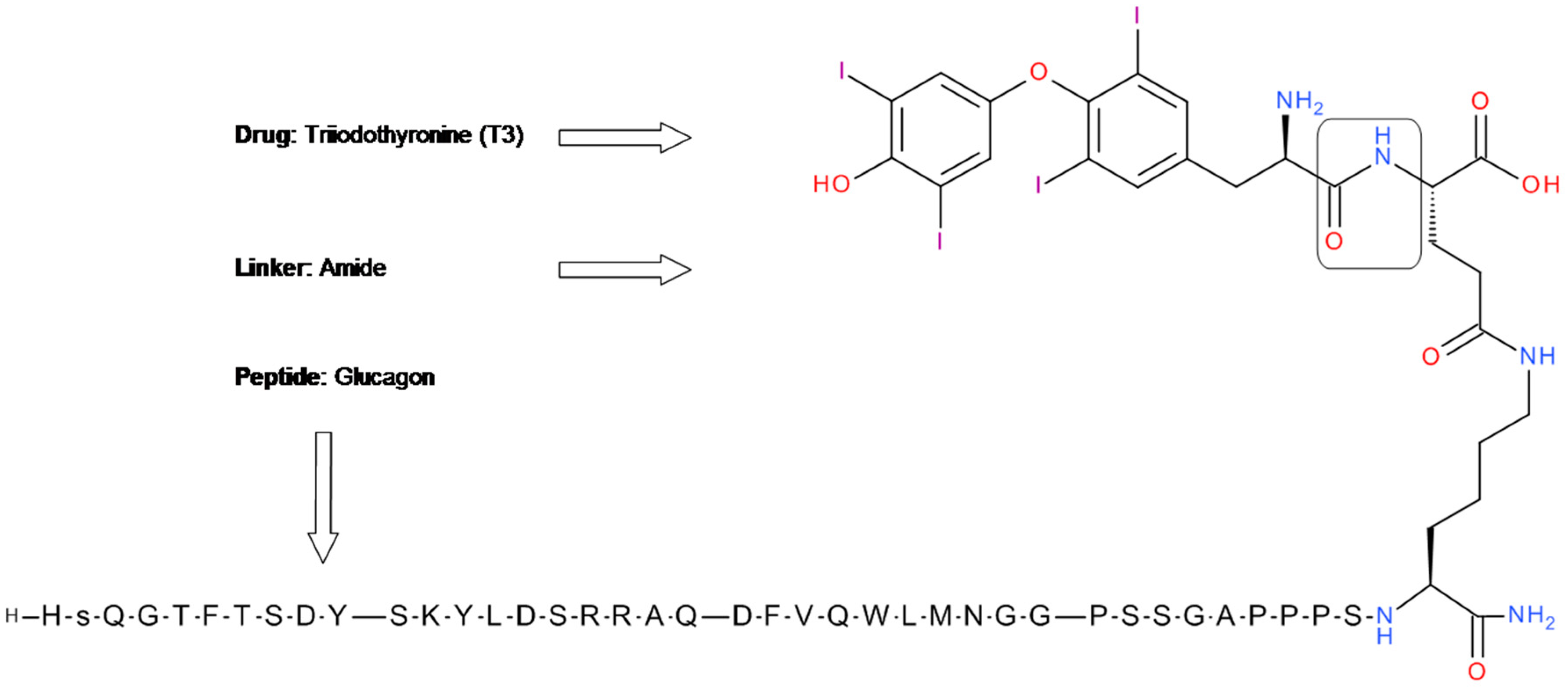 Molecules 24 01855 g006