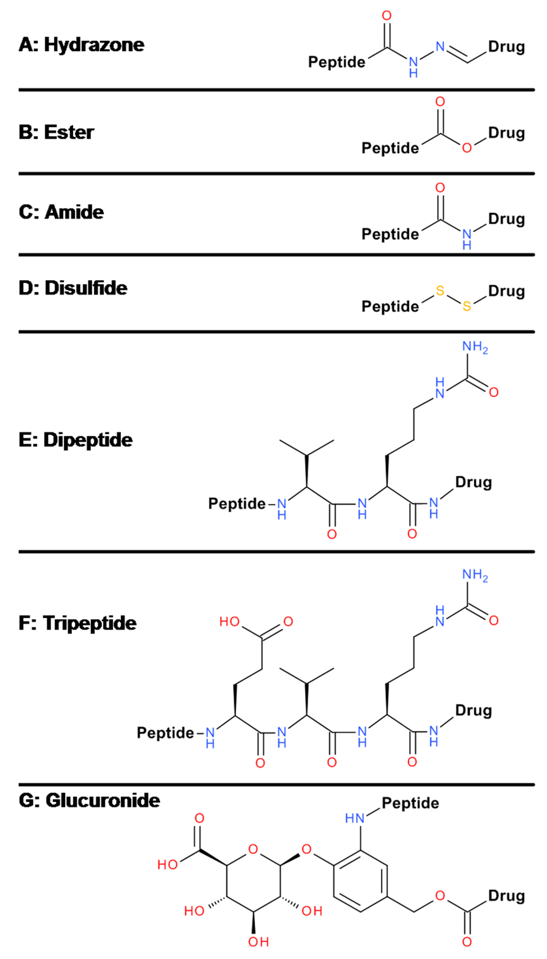 Molecules 24 01855 g008