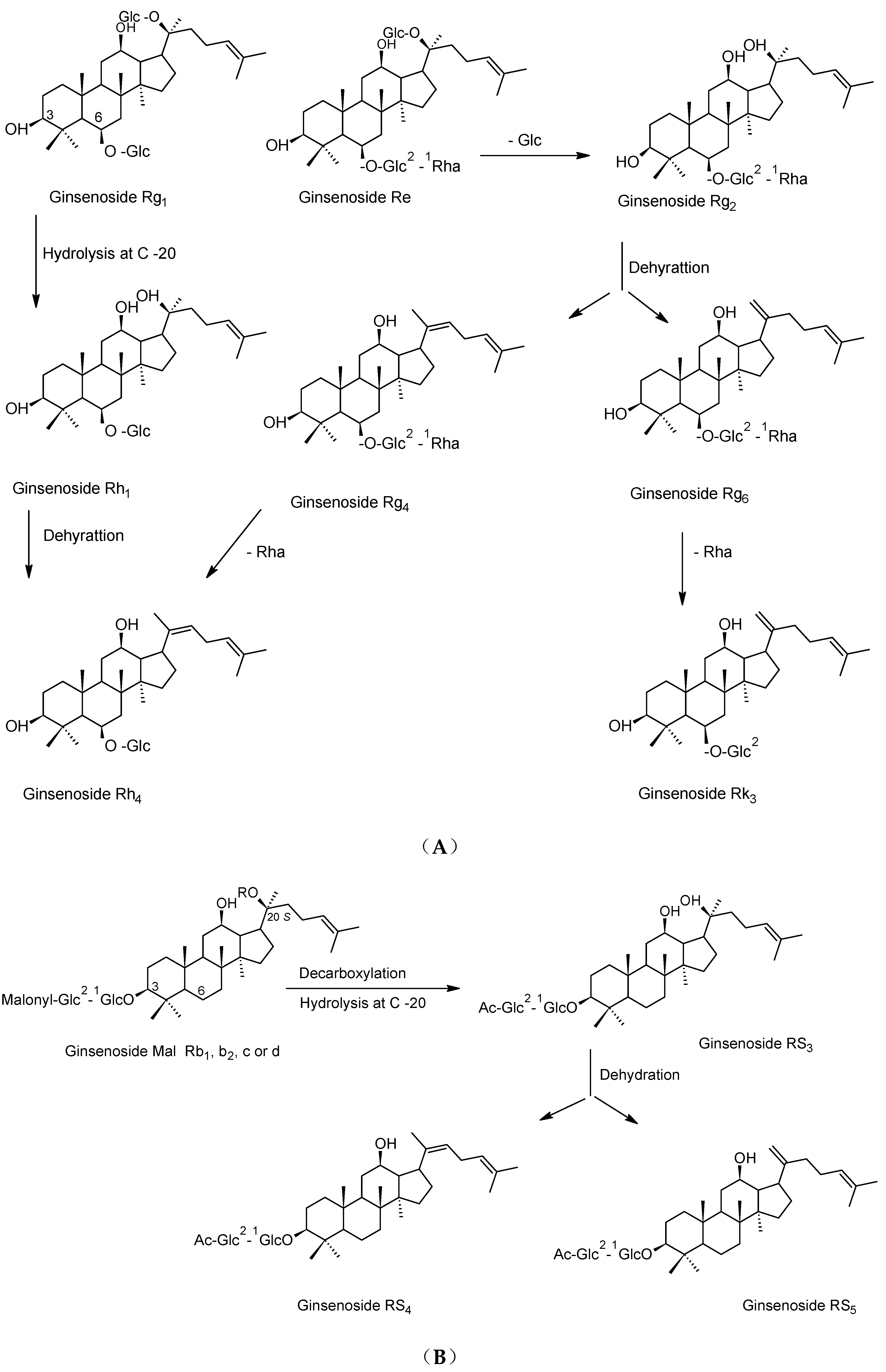 Molecules 24 01856 g003