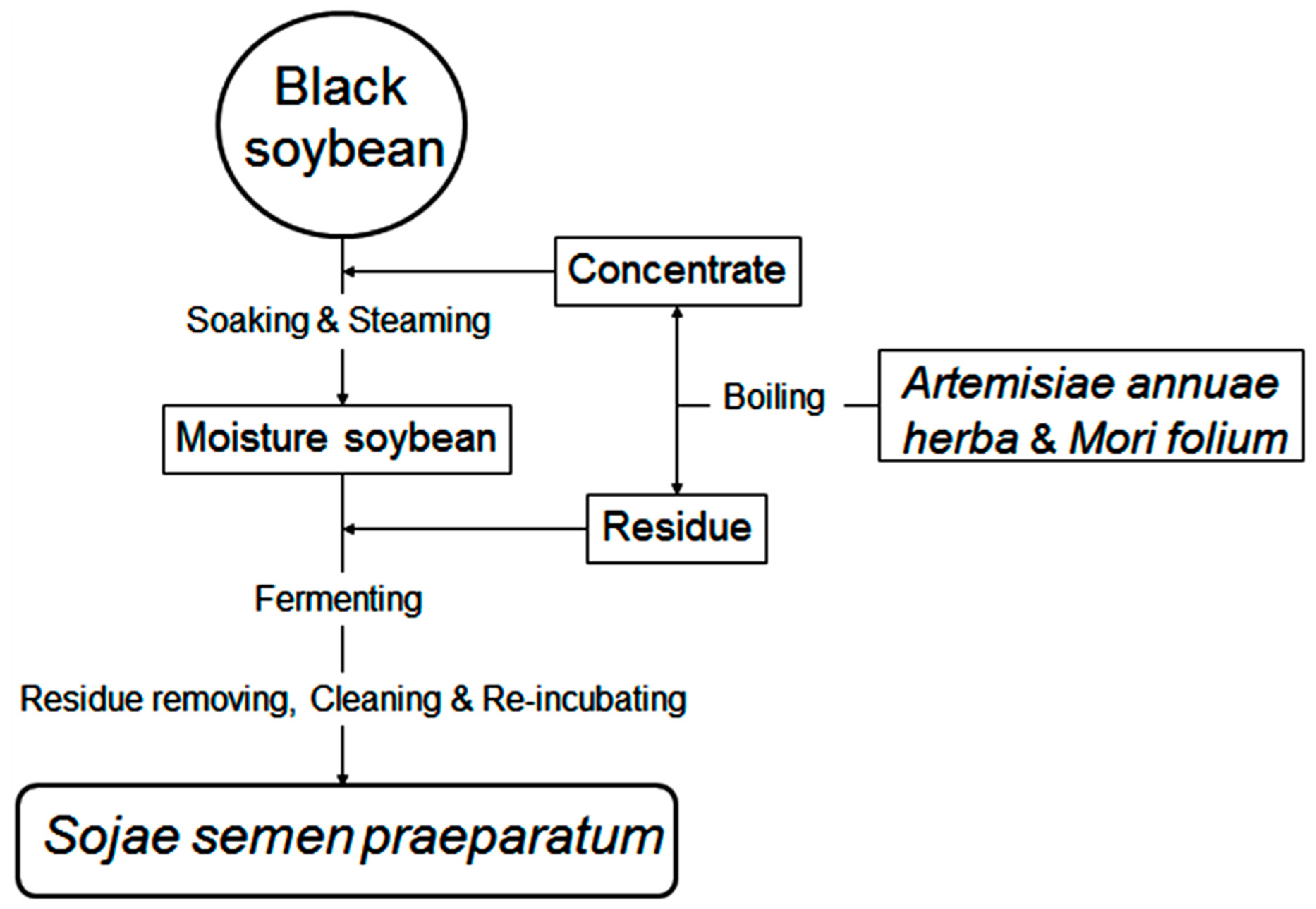 Molecules 24 01864 g007