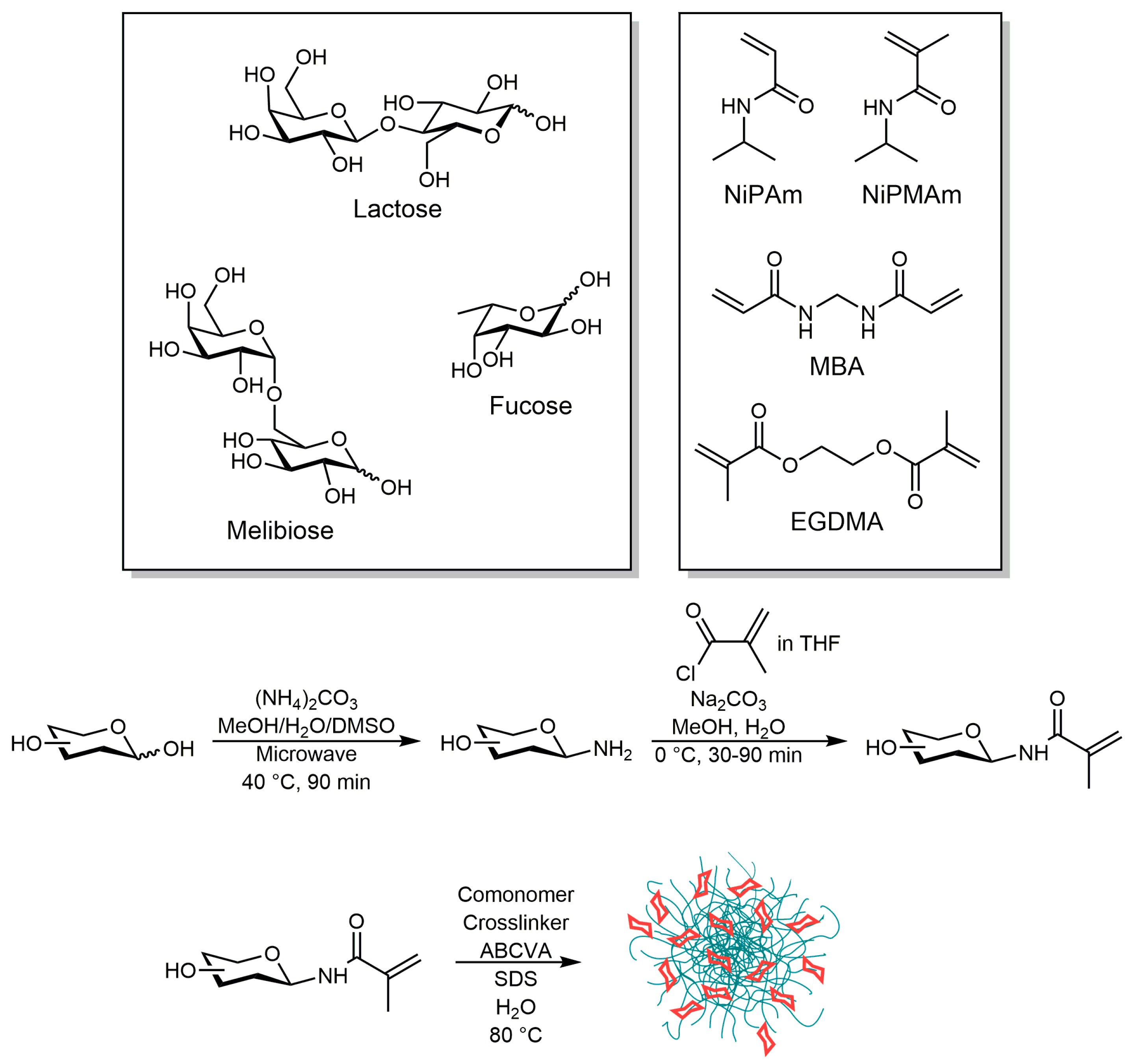 Molecules 24 01865 sch001 Molecules 24 01865 sch001