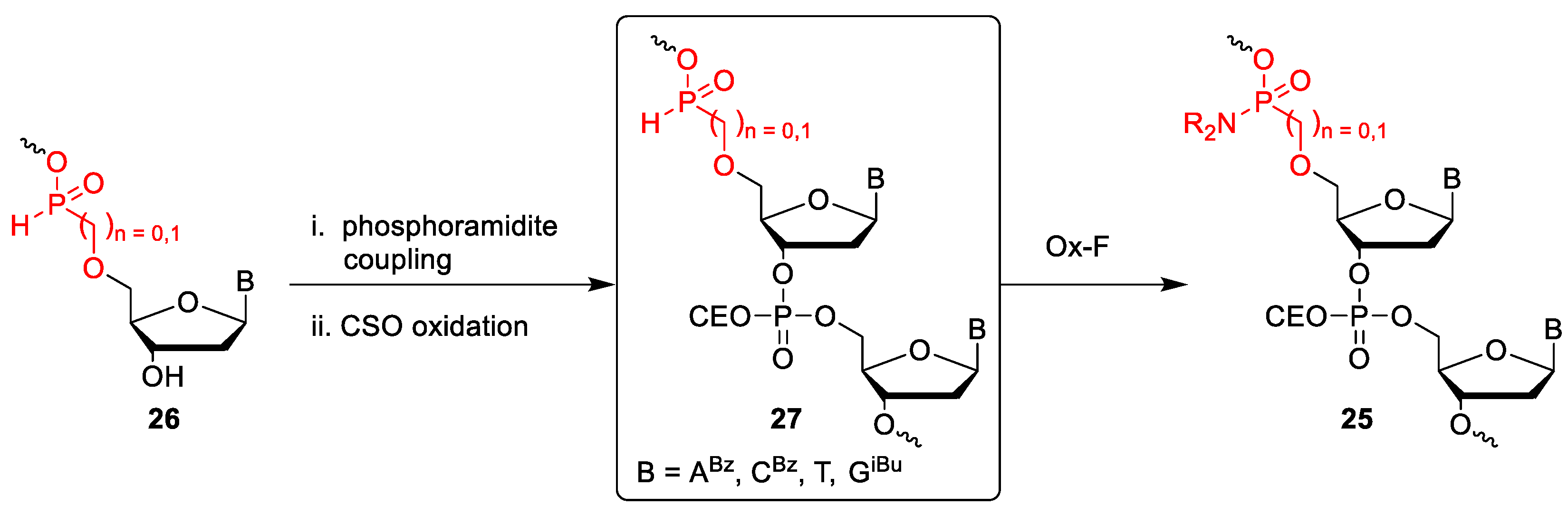 Molecules 24 01872 sch005 Molecules 24 01872 sch005